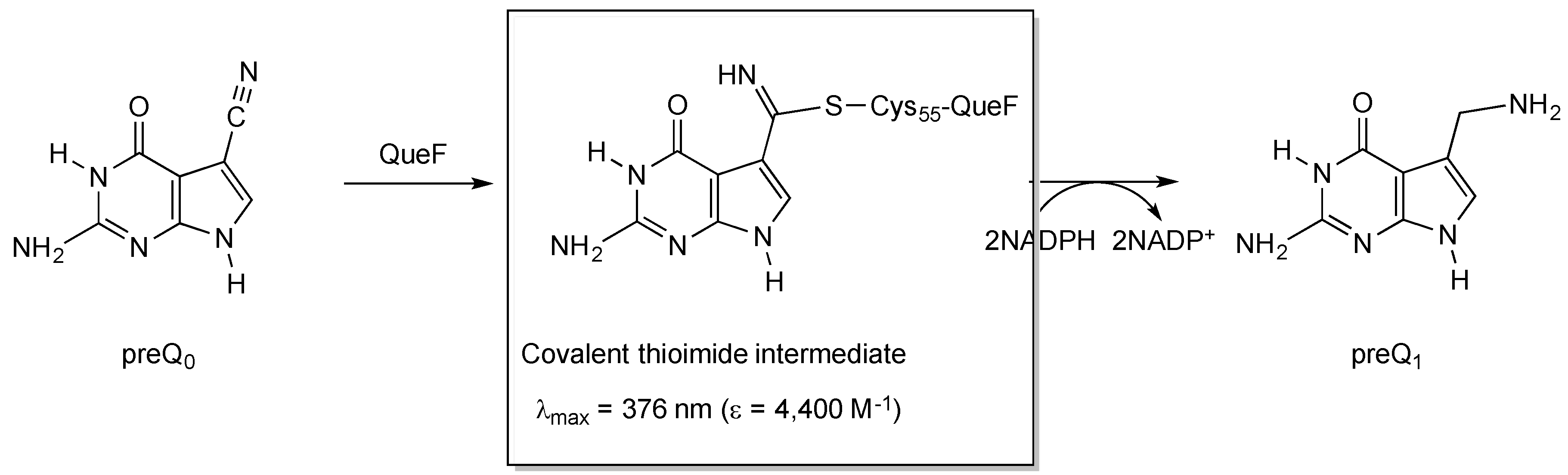 Biomolecules 07 00036 g003