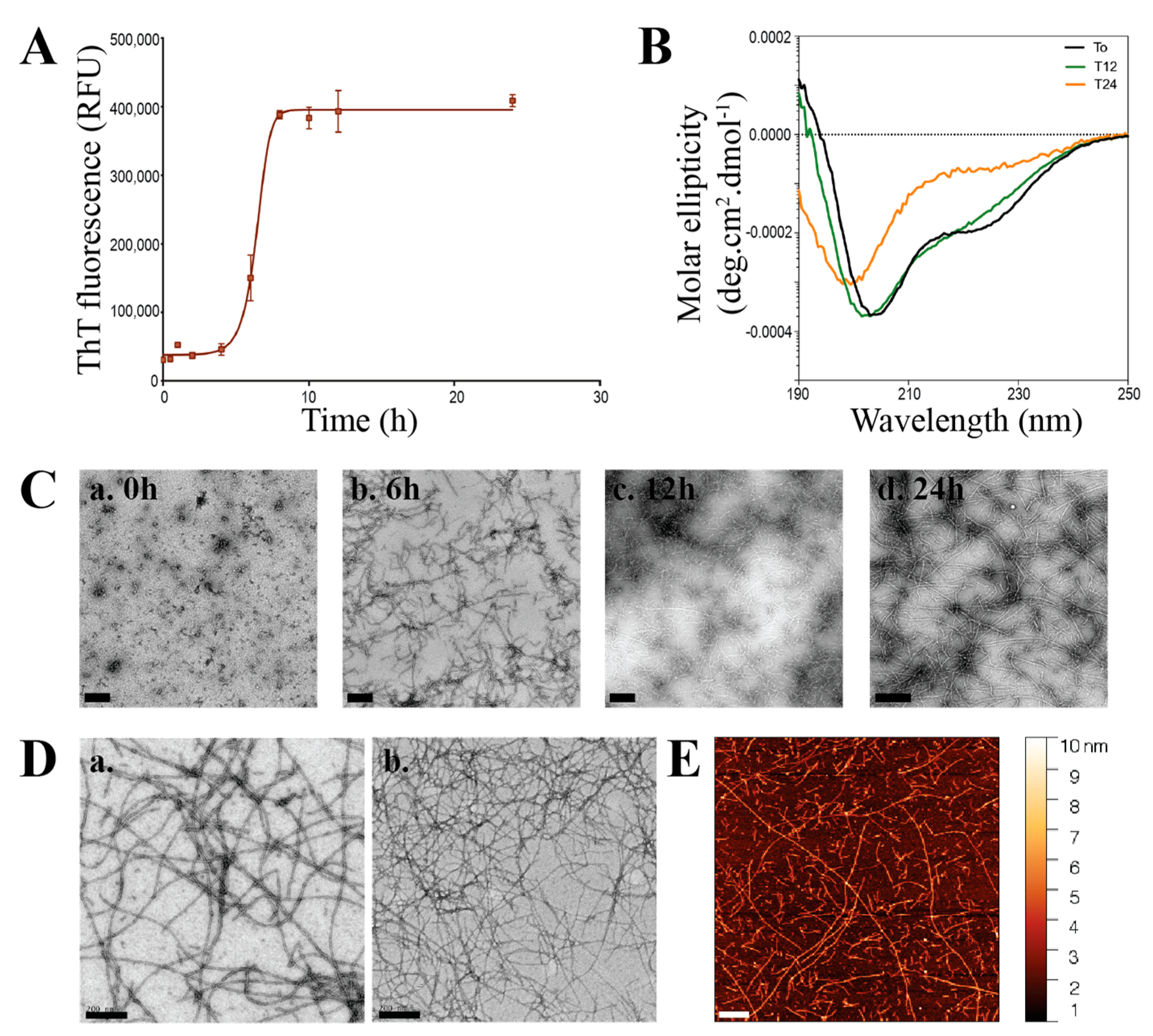Biomolecules 07 00037 g001 Biomolecules 07 00037 g001
