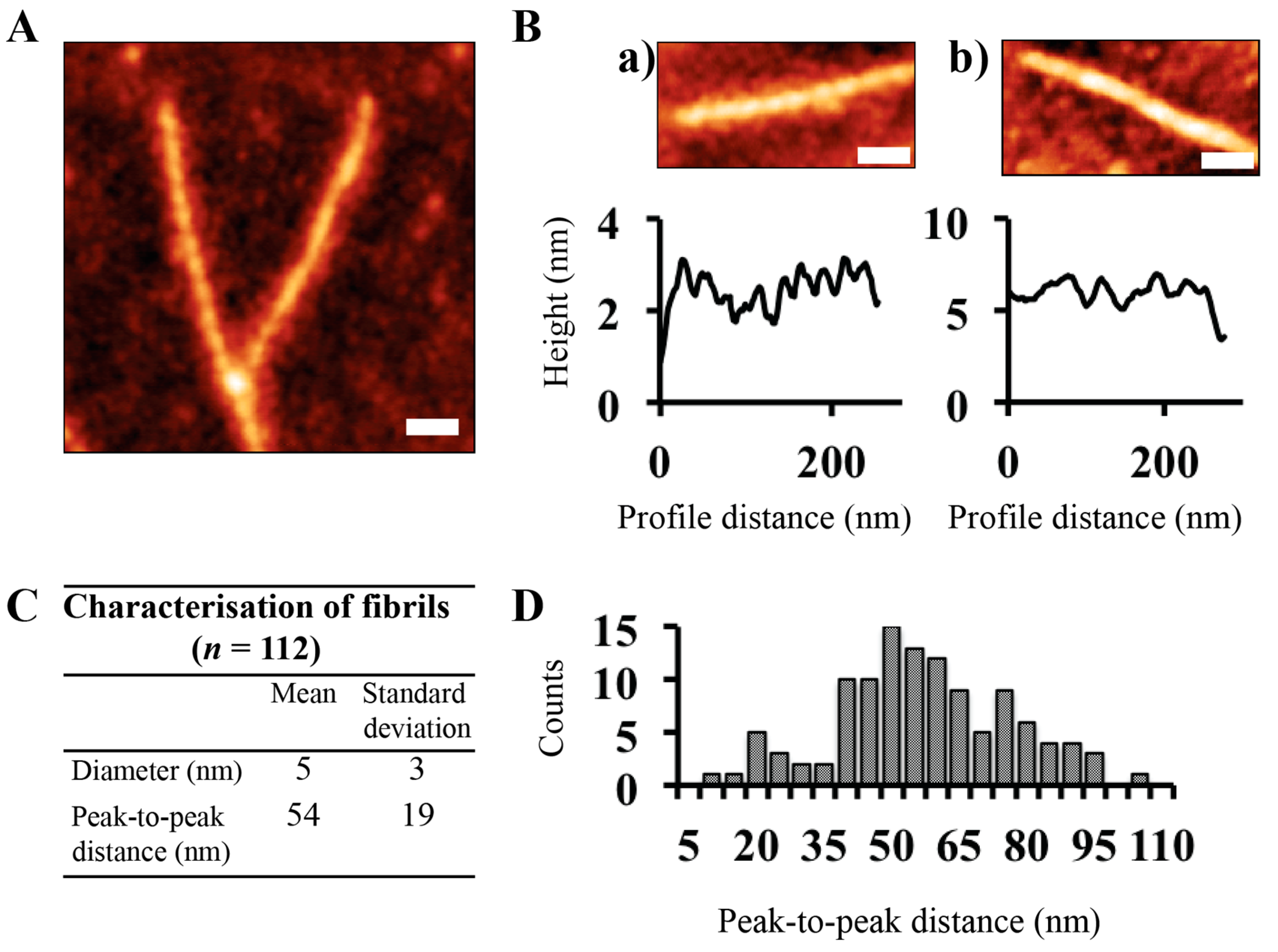 Biomolecules 07 00037 g002 Biomolecules 07 00037 g002