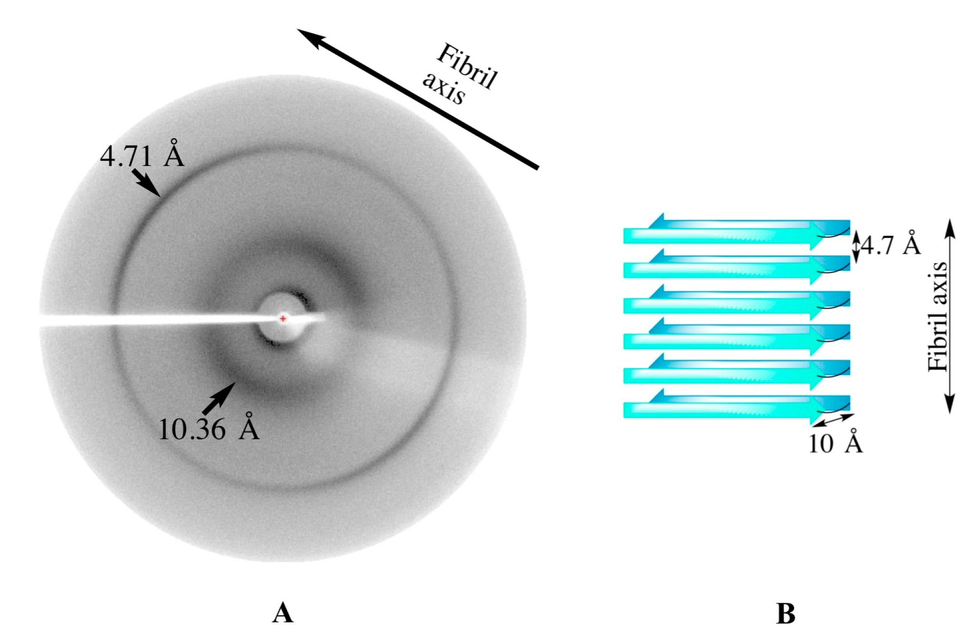 Biomolecules 07 00037 g003 Biomolecules 07 00037 g003