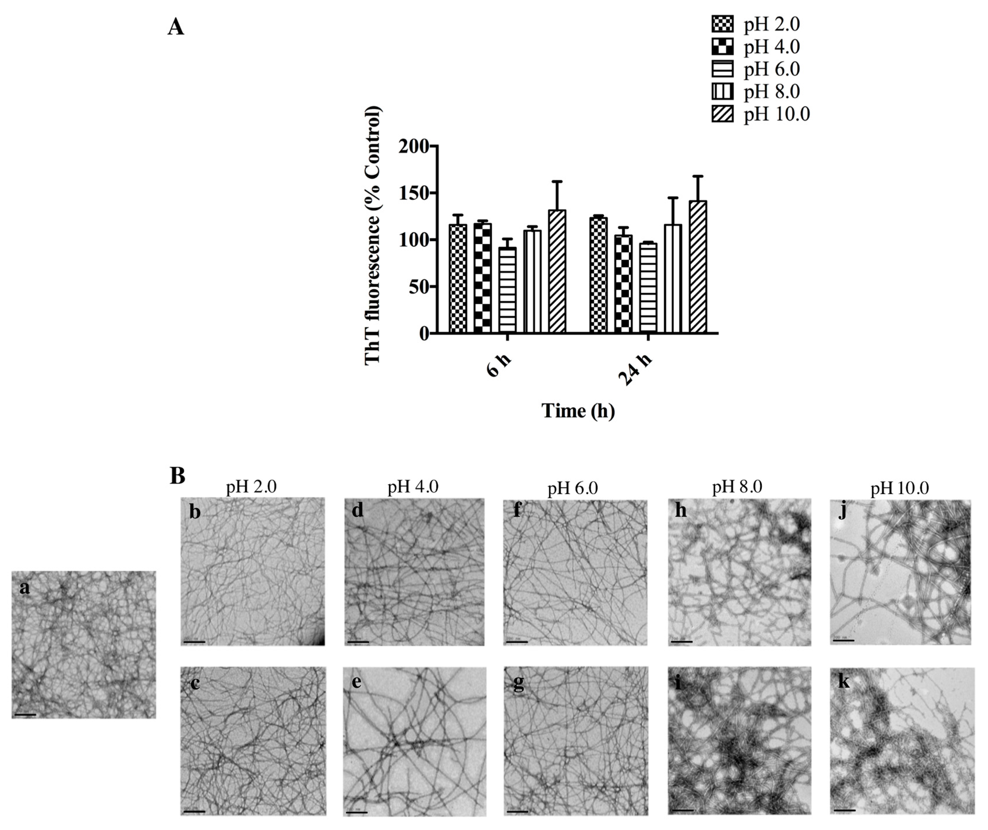 Biomolecules 07 00037 g006 Biomolecules 07 00037 g006
