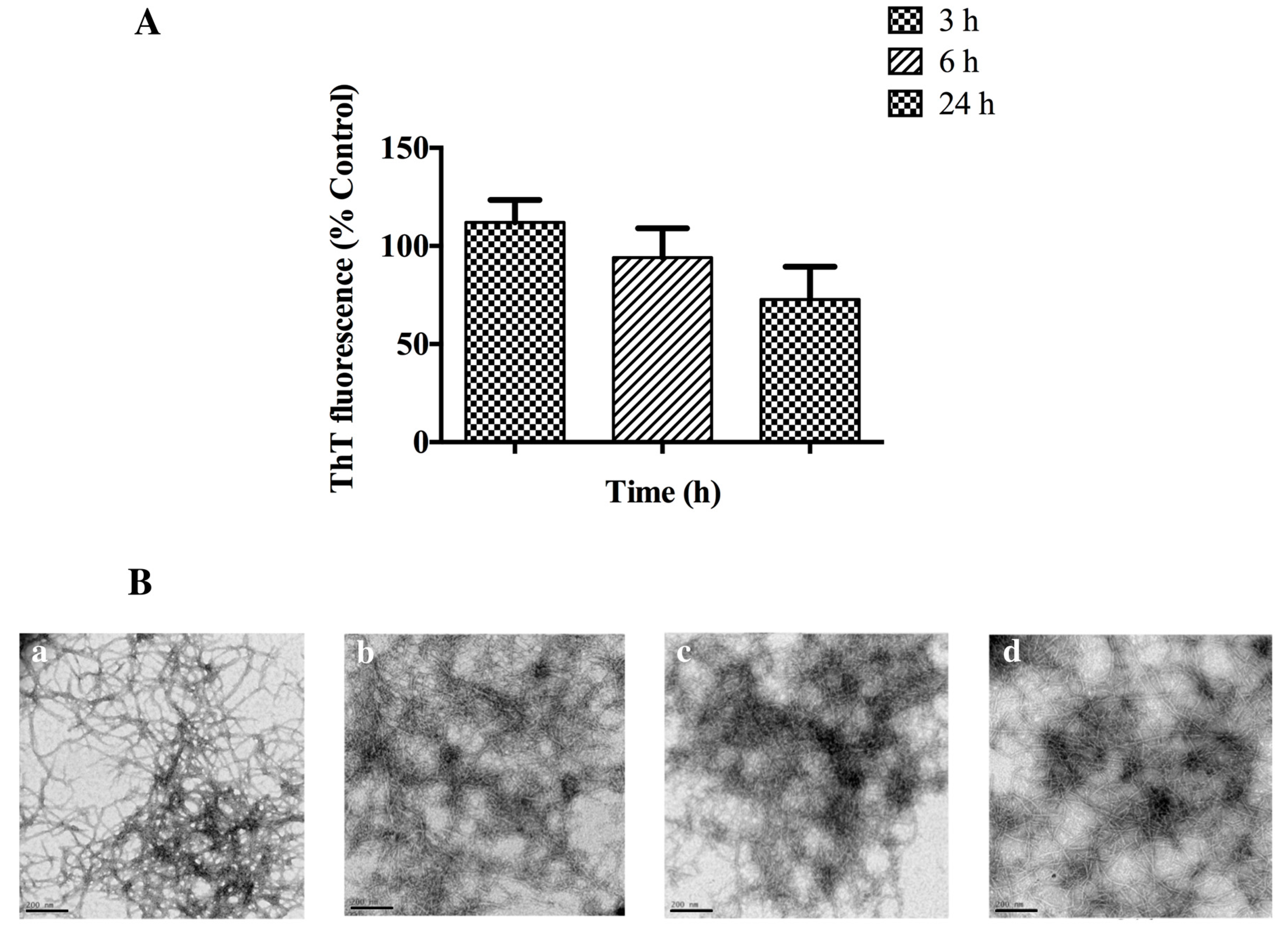 Biomolecules 07 00037 g007 Biomolecules 07 00037 g007