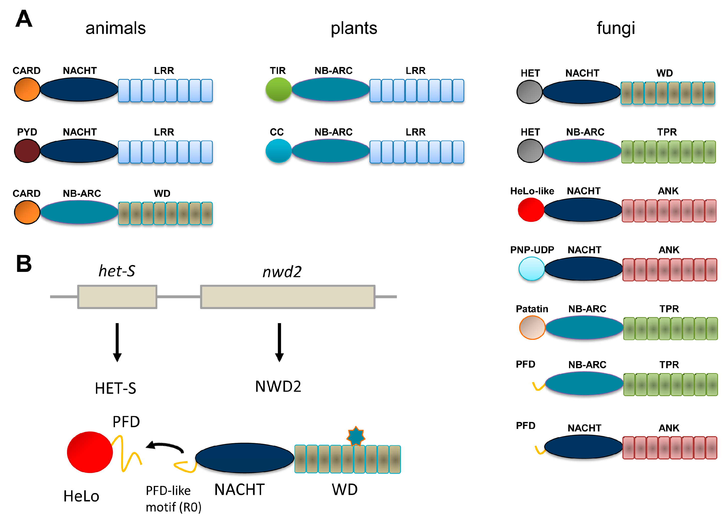Biomolecules 07 00038 g001