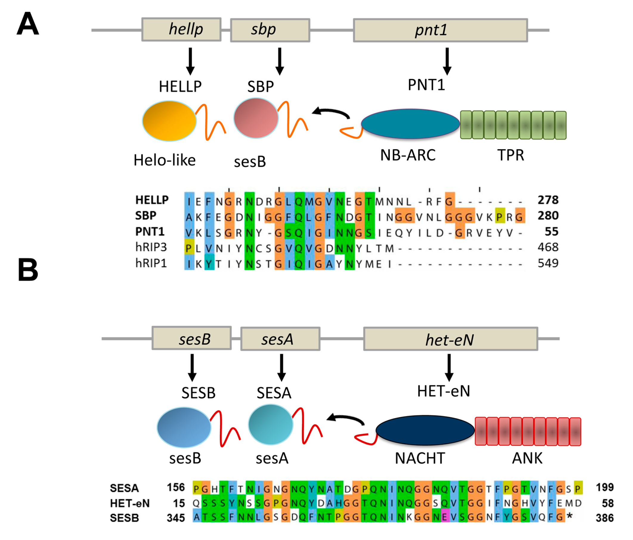 Biomolecules 07 00038 g004
