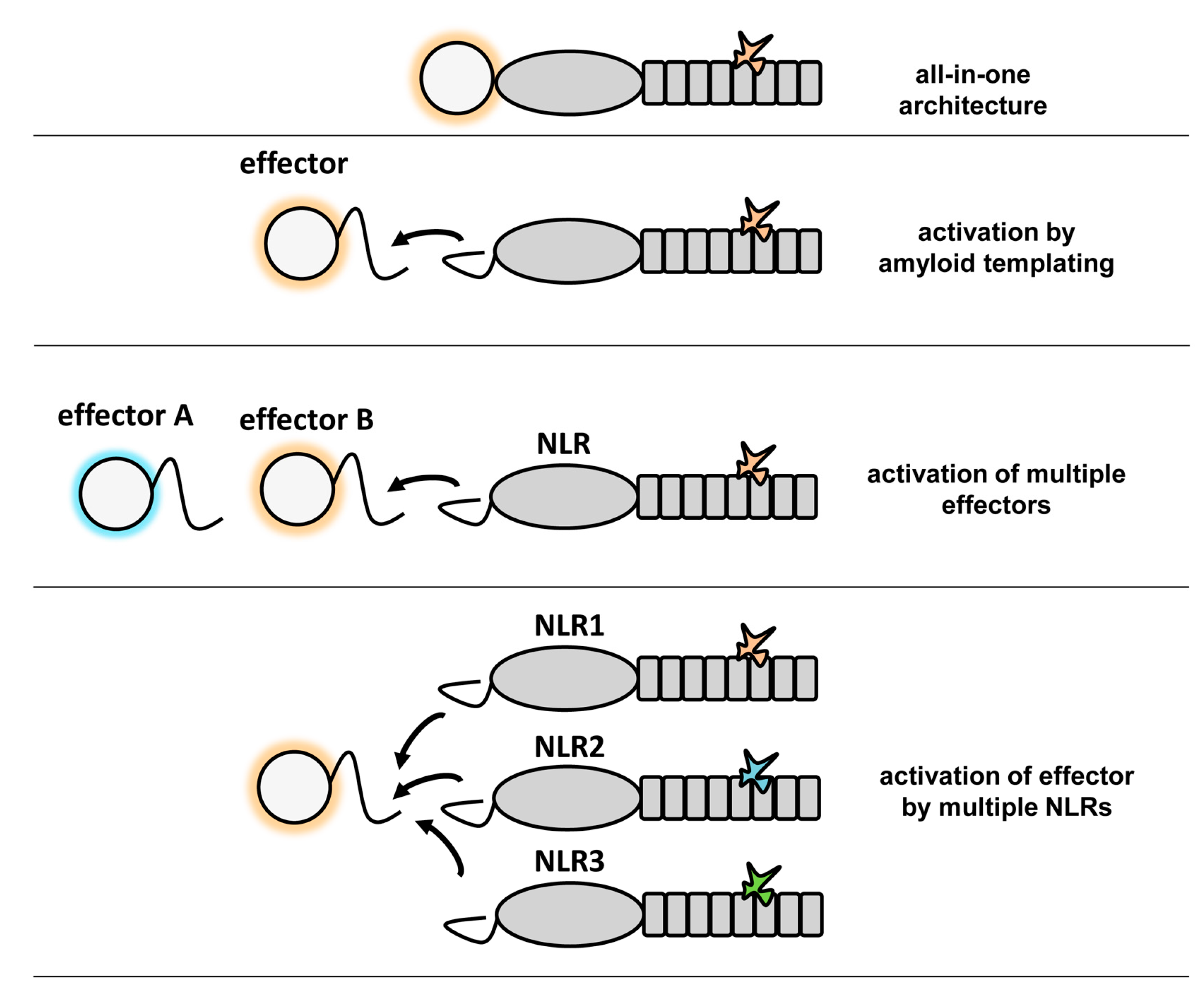 Biomolecules 07 00038 g005