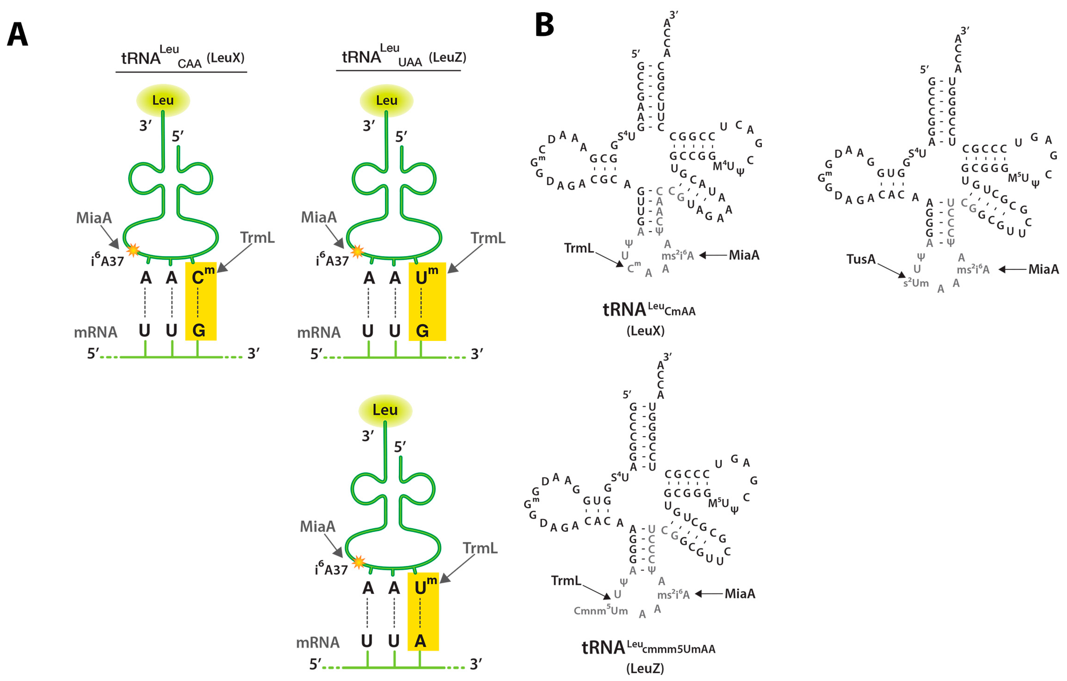 Biomolecules 07 00039 g001