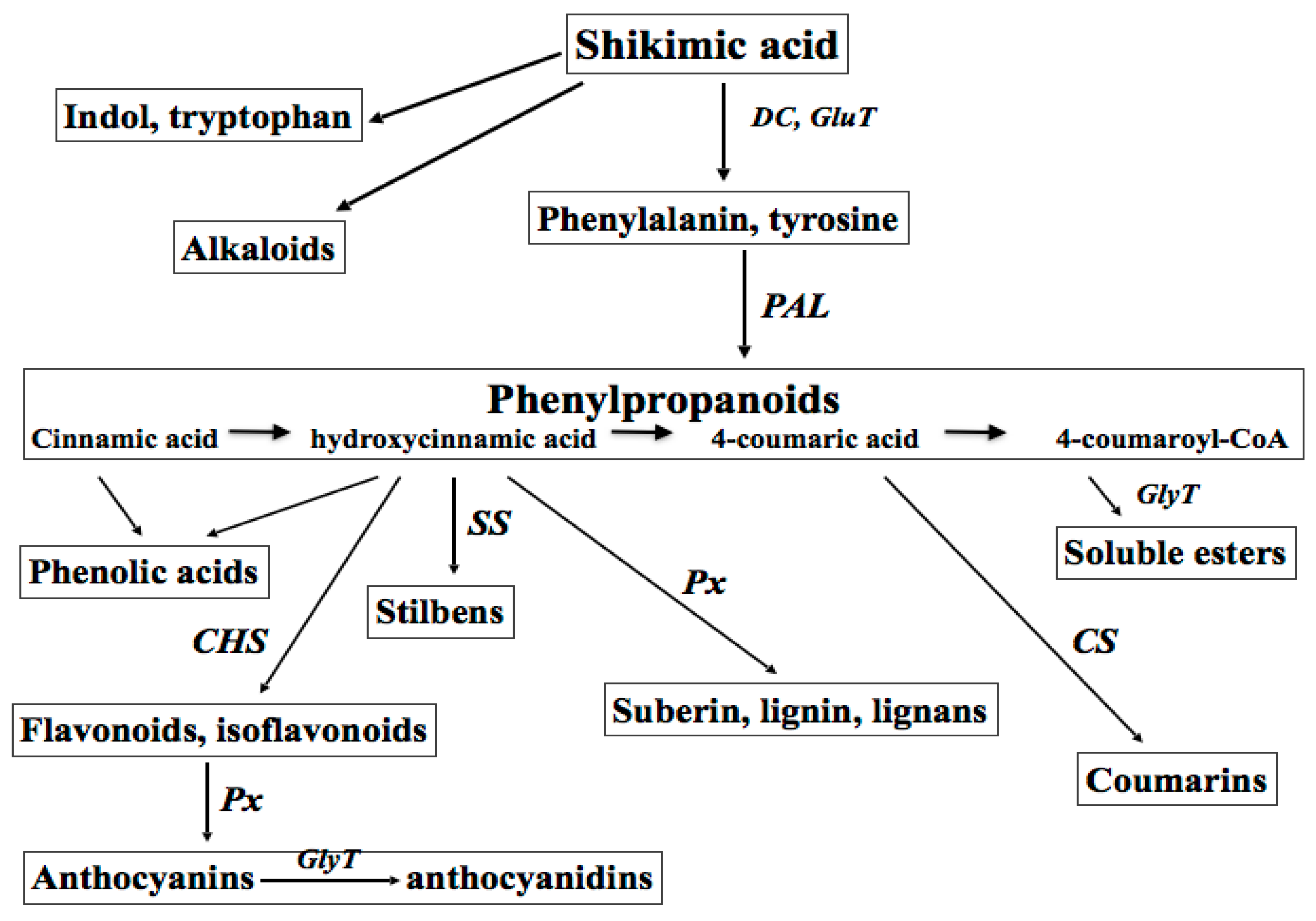Biomolecules 07 00040 g001