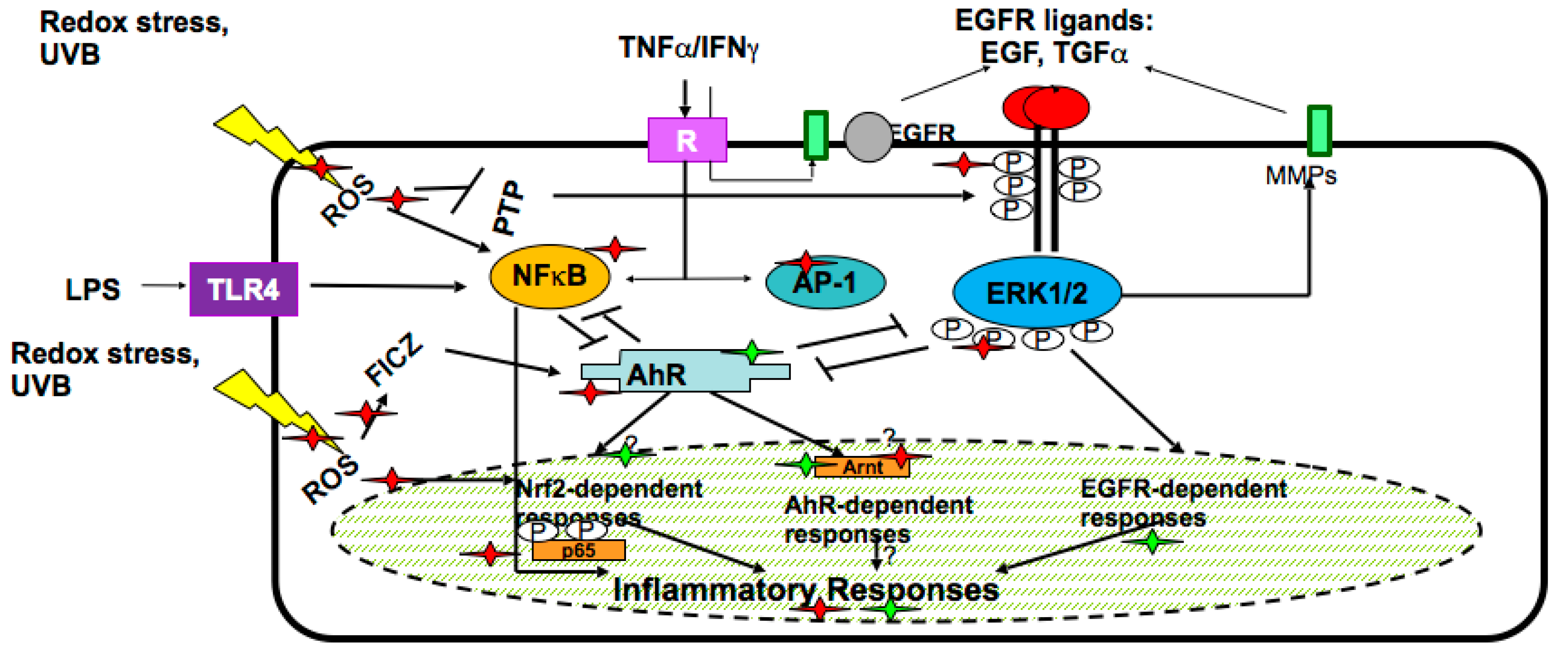 Biomolecules 07 00040 g002