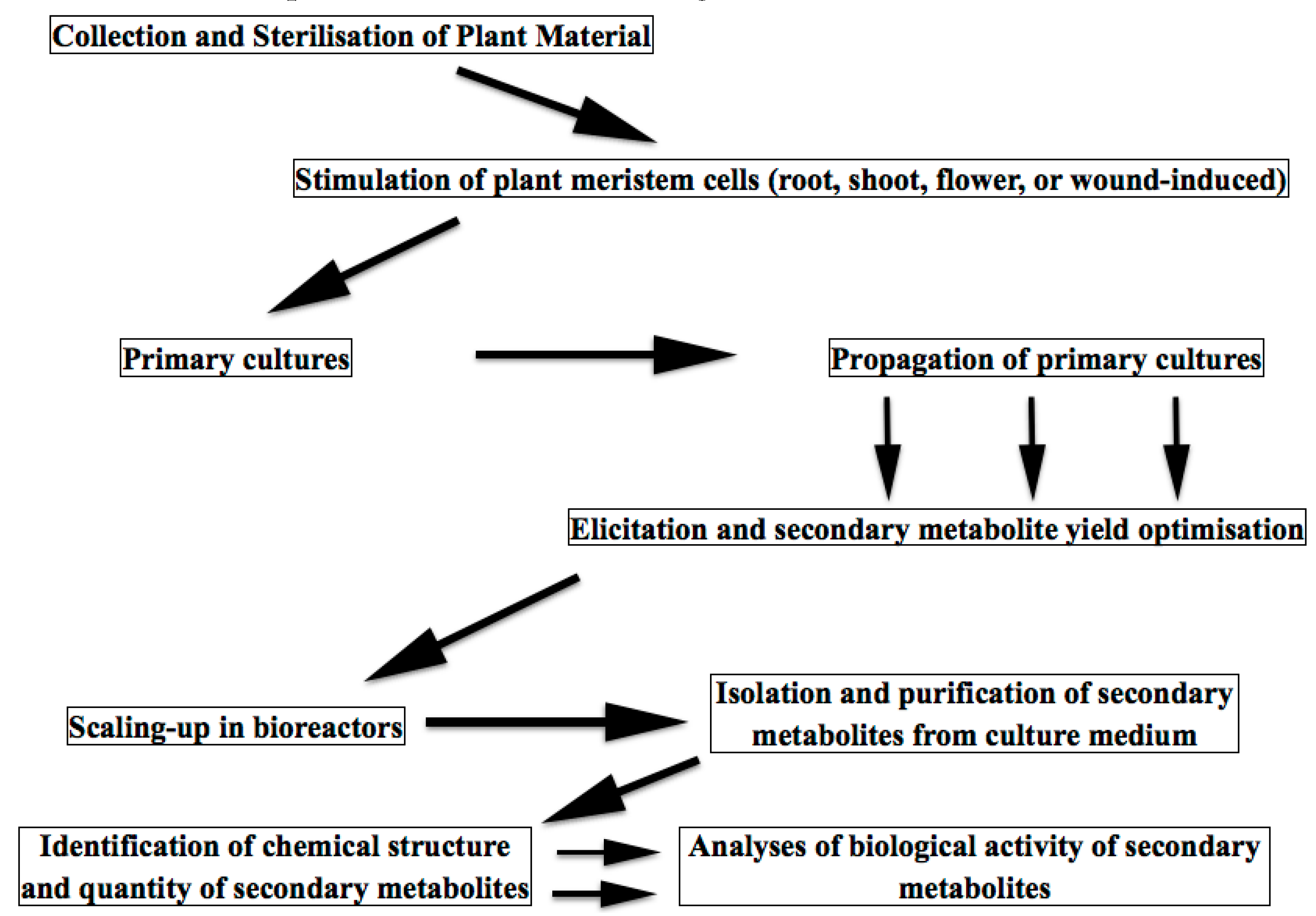 Biomolecules 07 00040 g003