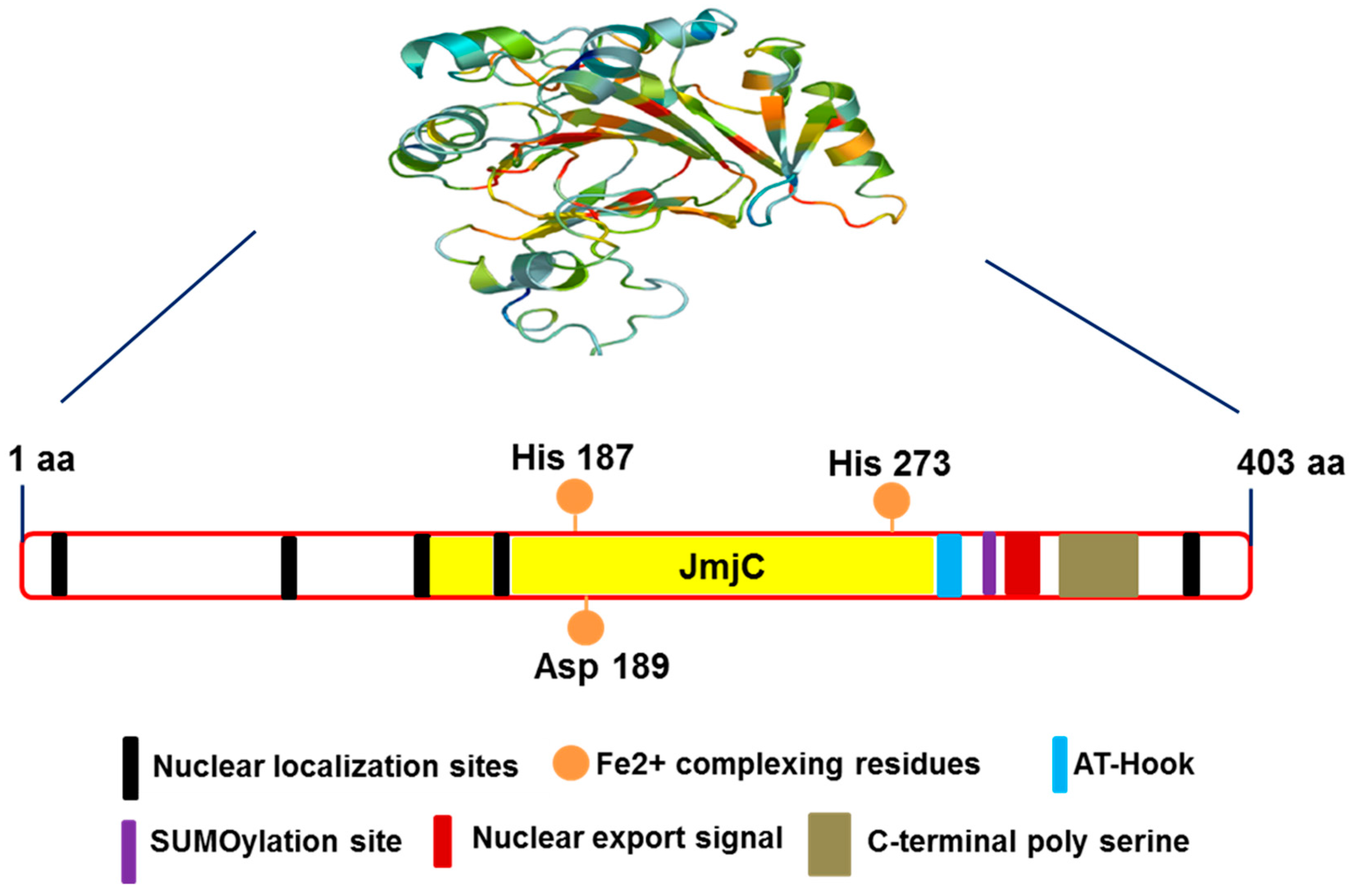 Biomolecules 07 00041 g001