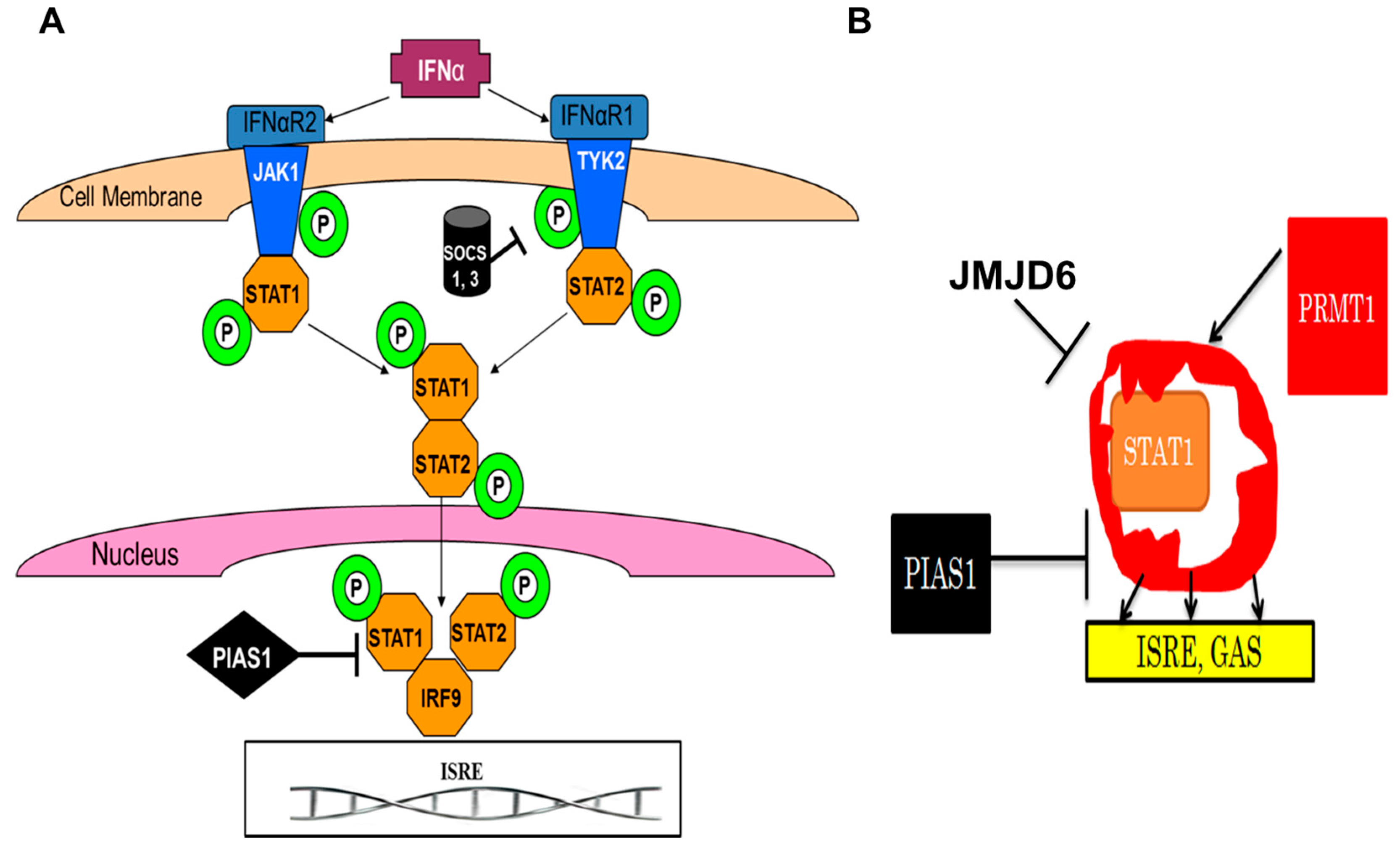 Biomolecules 07 00041 g002