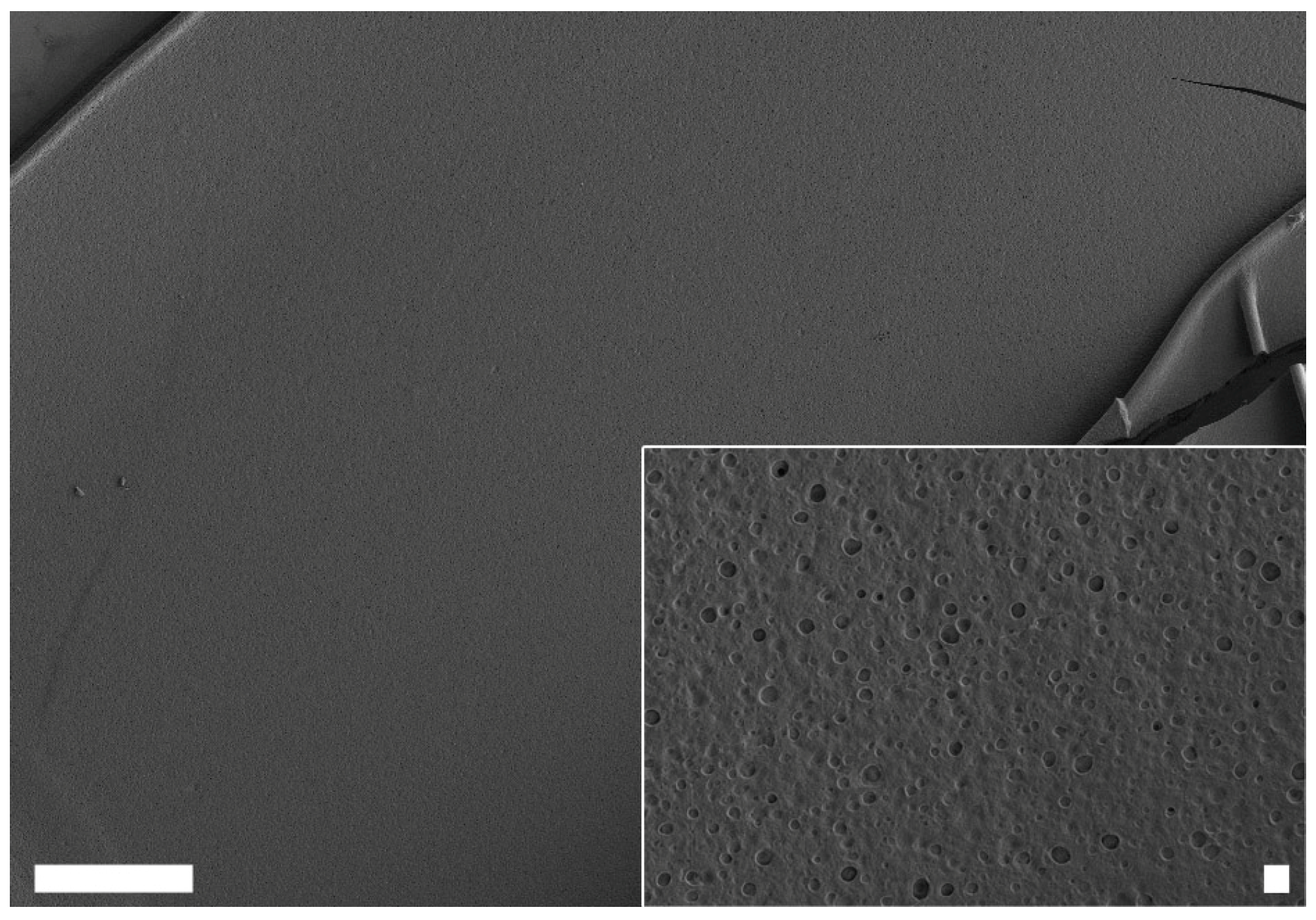 Biomolecules 07 00043 g005