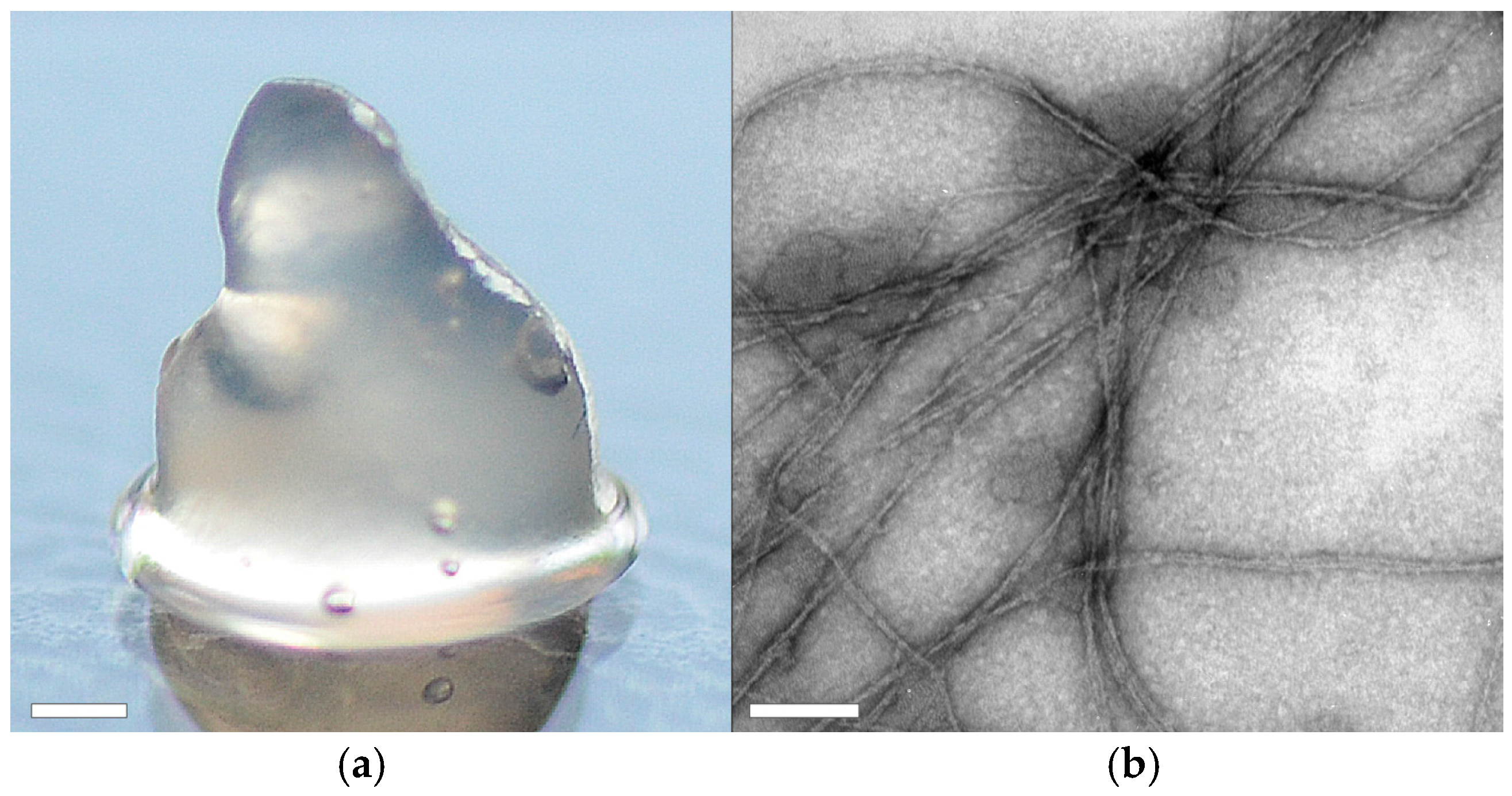 Biomolecules 07 00043 g006