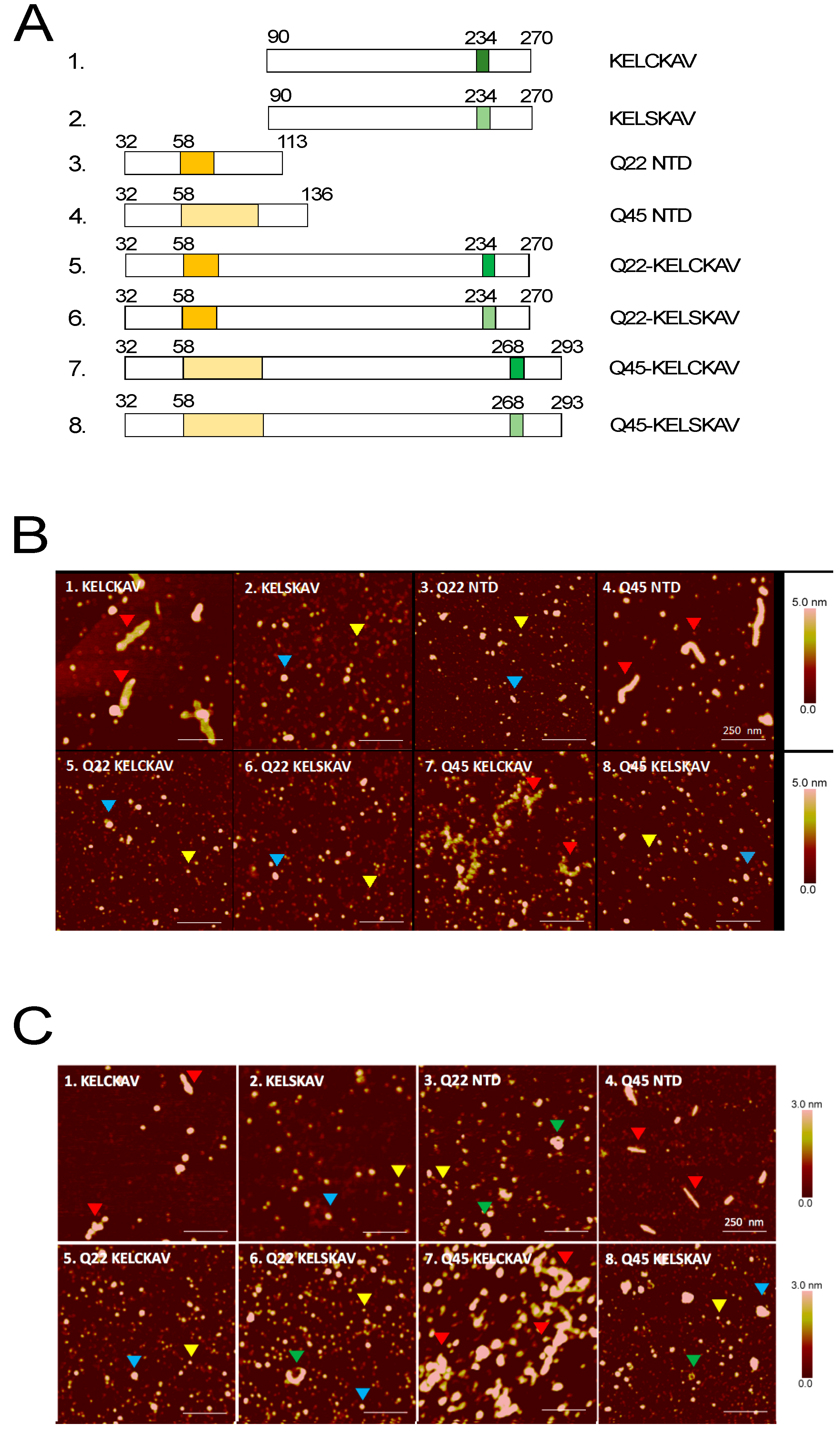 Biomolecules 07 00044 g004