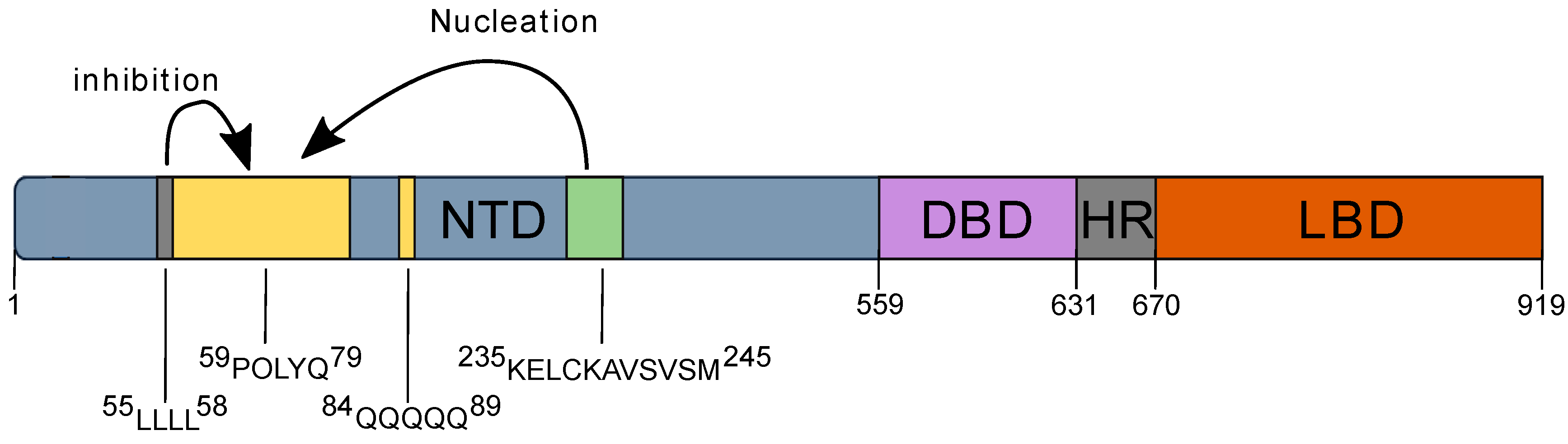 Biomolecules 07 00044 g005