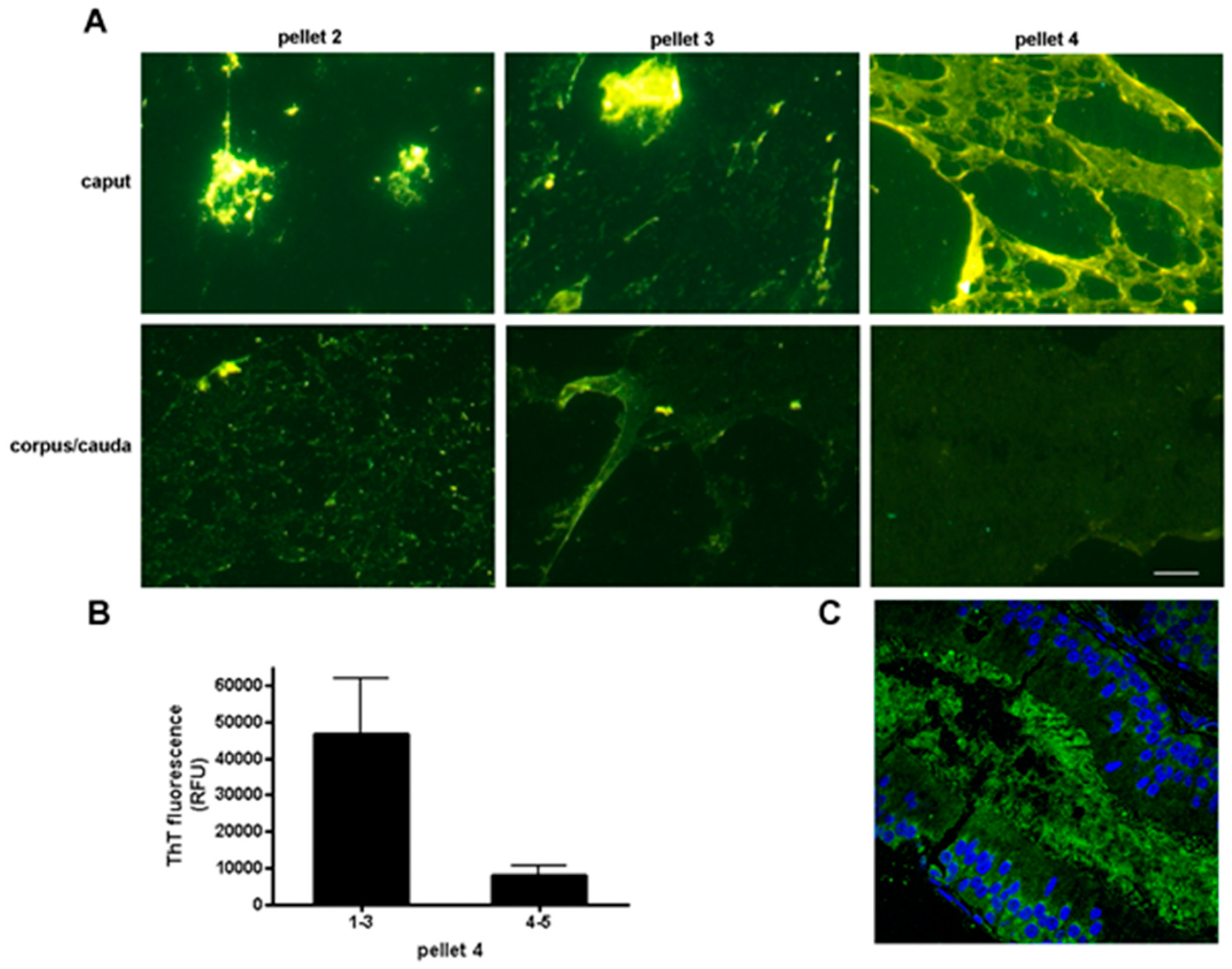 Biomolecules 07 00046 g003
