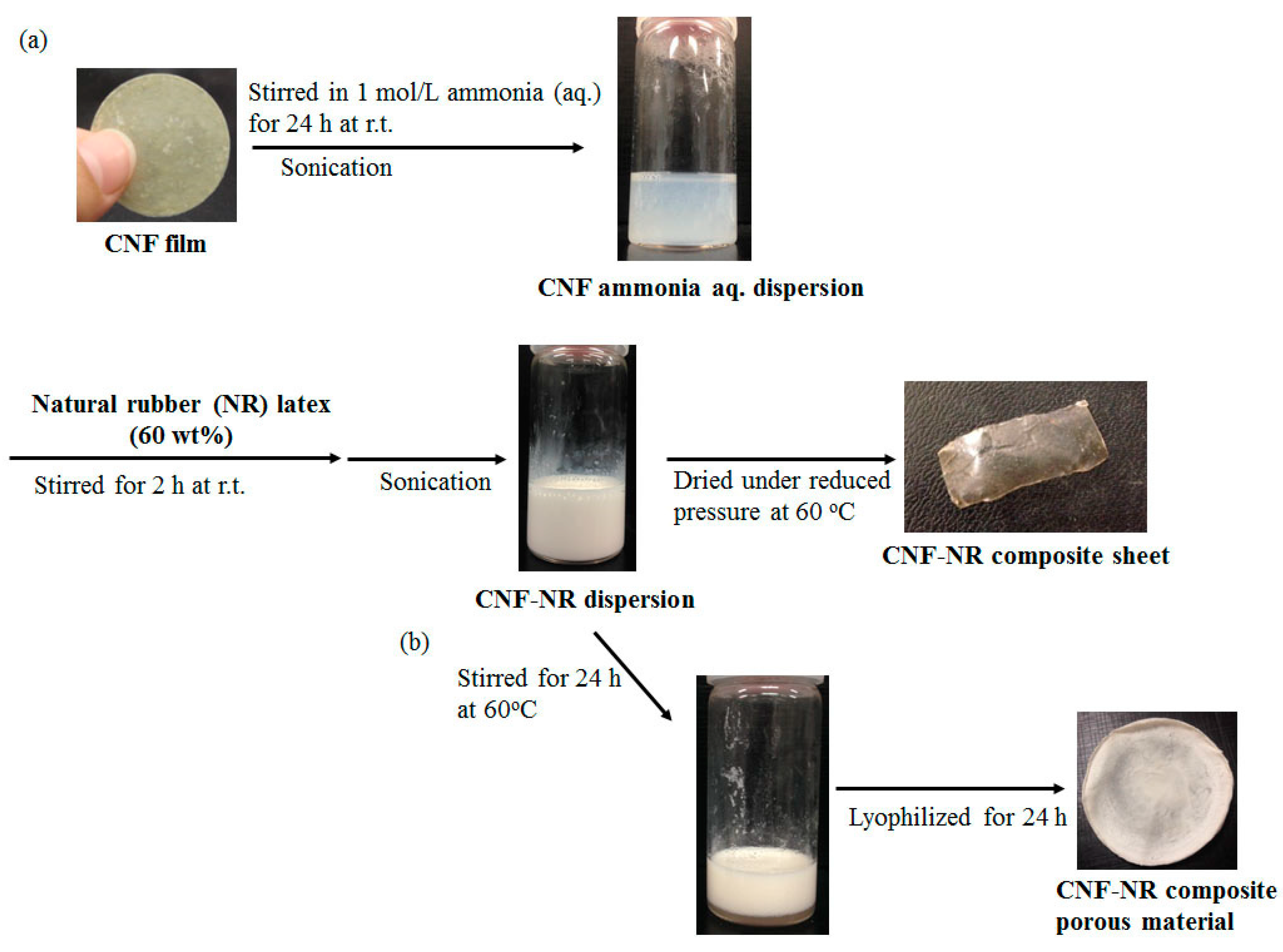 Biomolecules 07 00047 g002