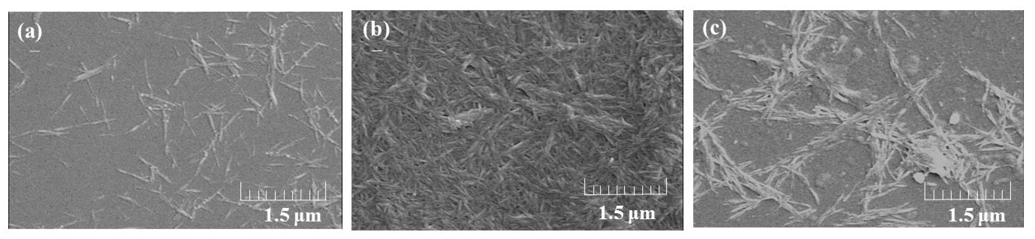 Biomolecules 07 00047 g003