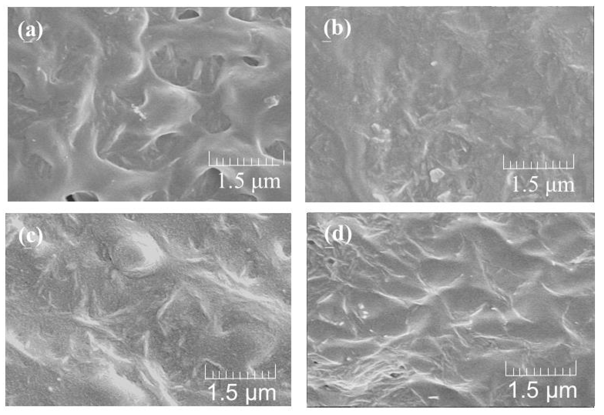 Biomolecules 07 00047 g004