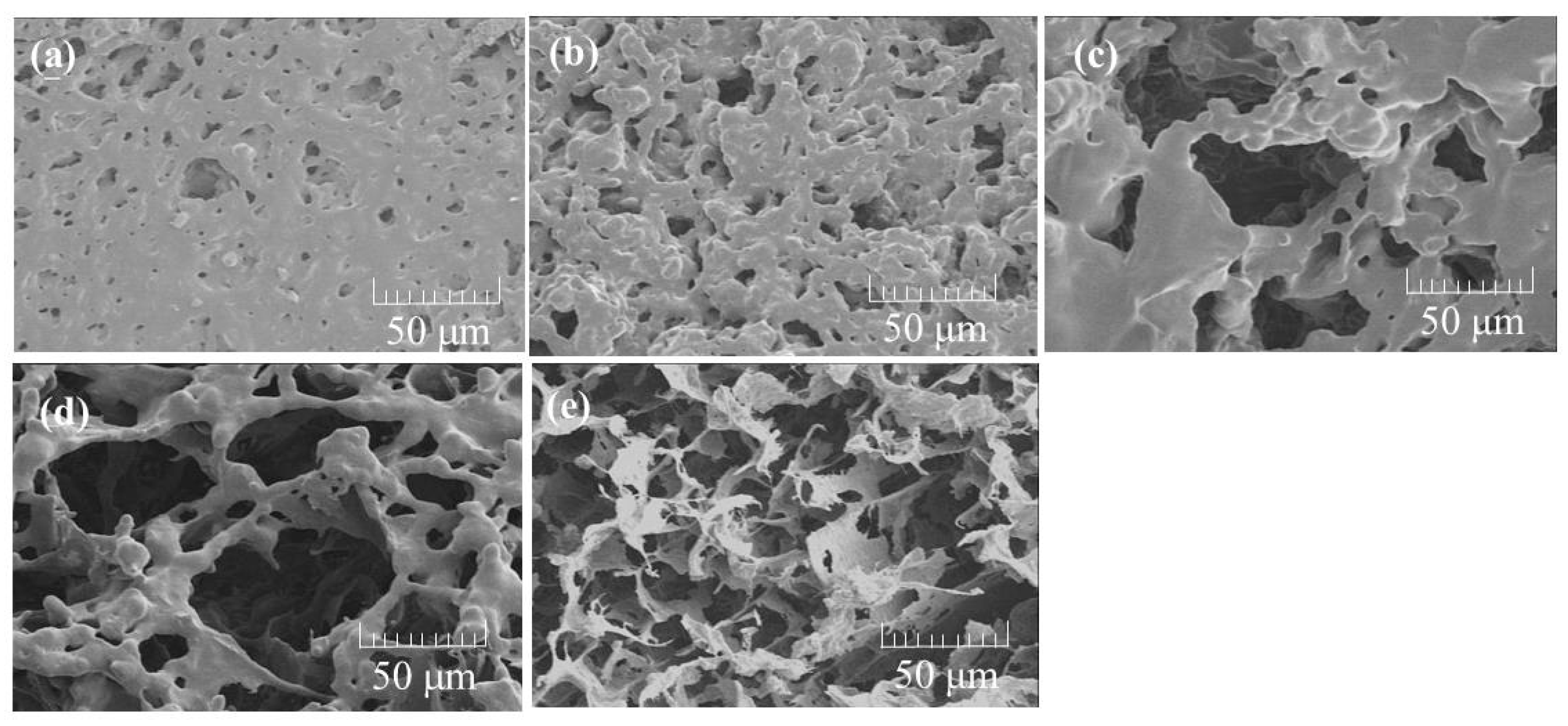 Biomolecules 07 00047 g008