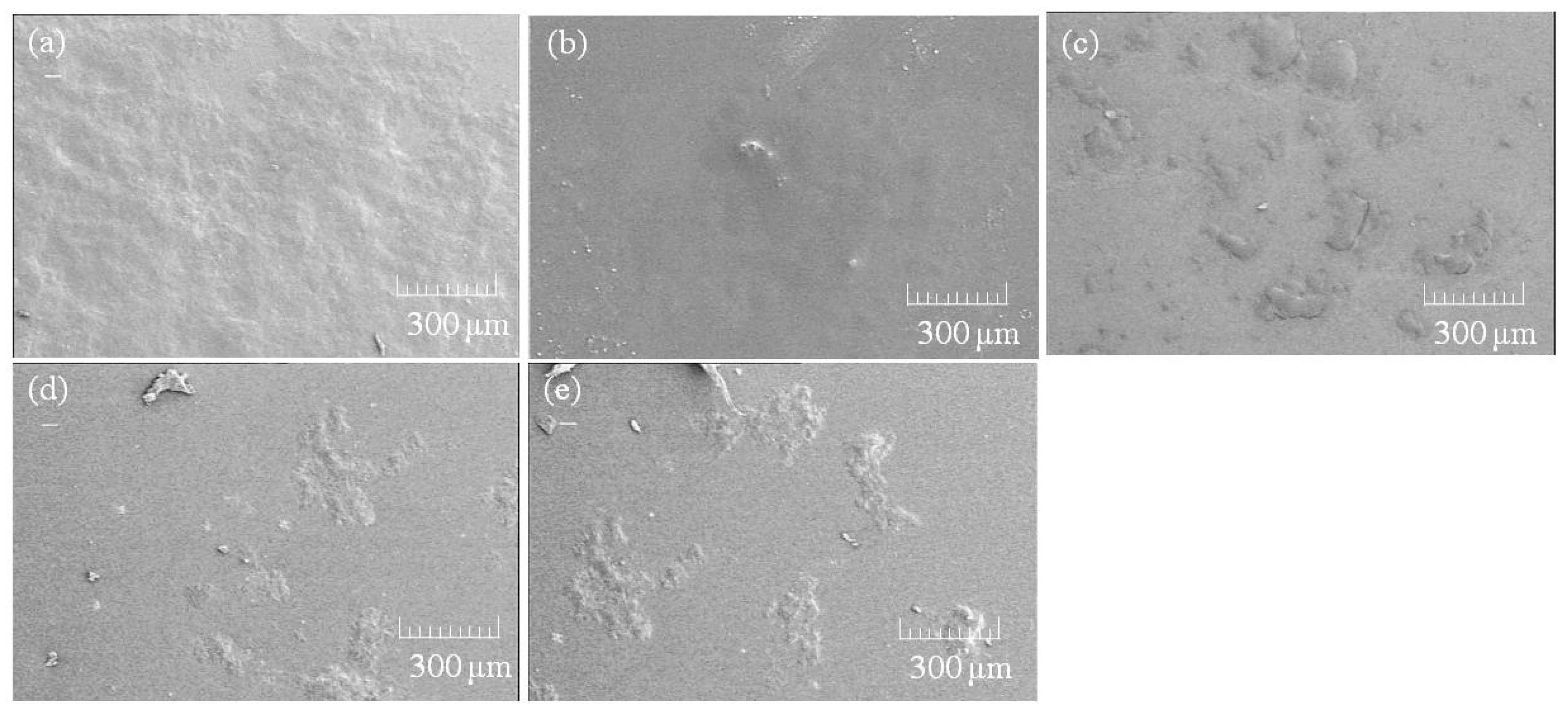 Biomolecules 07 00047 g010