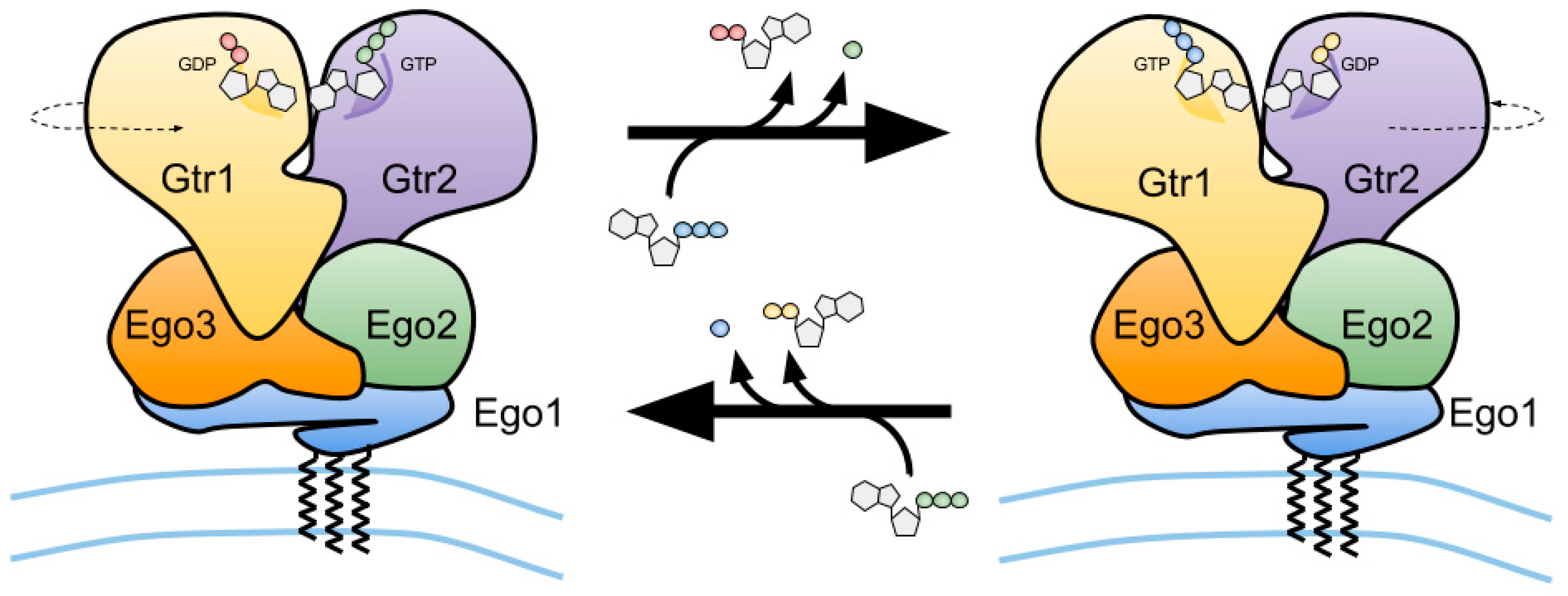 Biomolecules 07 00048 g003