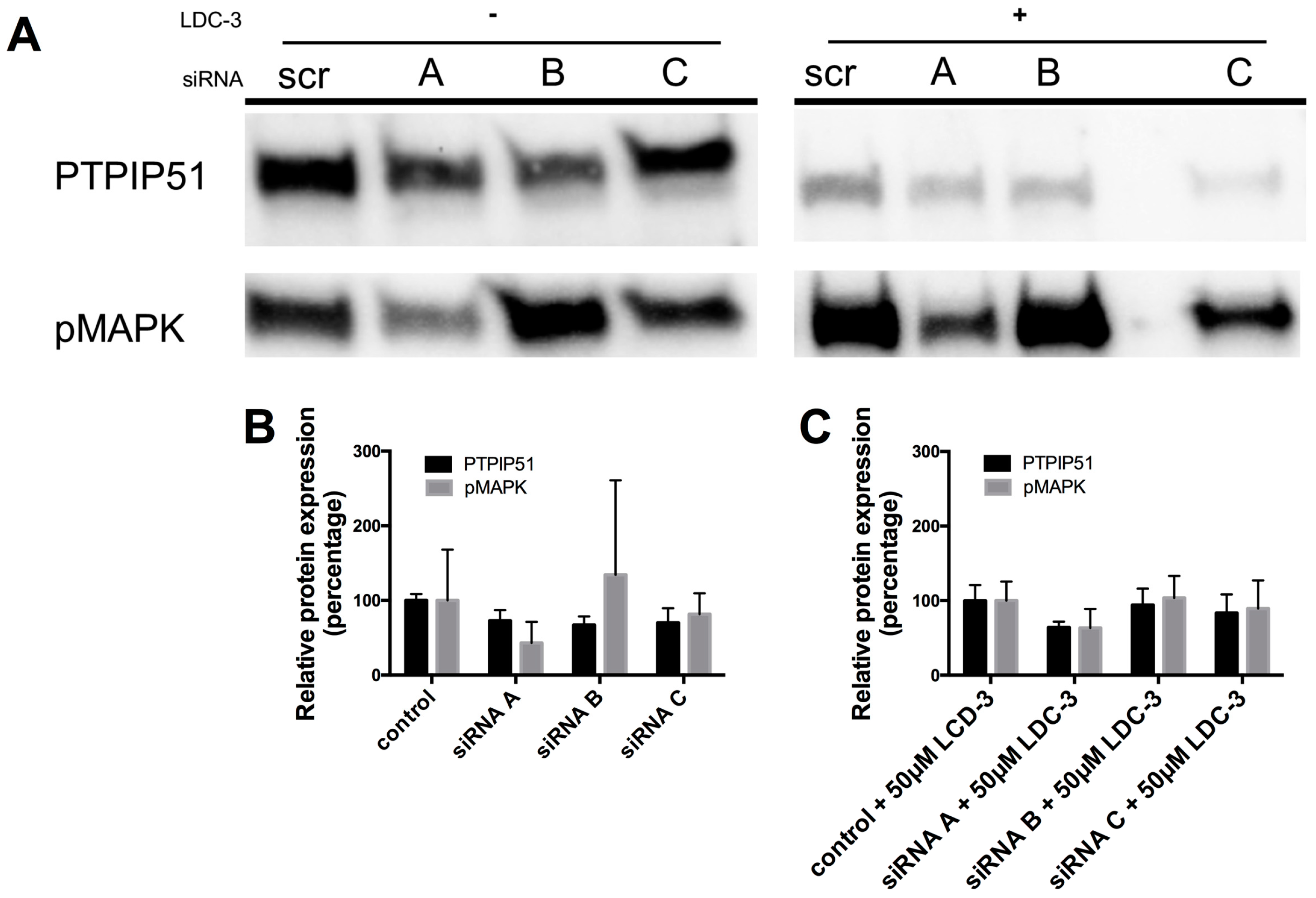 Biomolecules 07 00055 g002