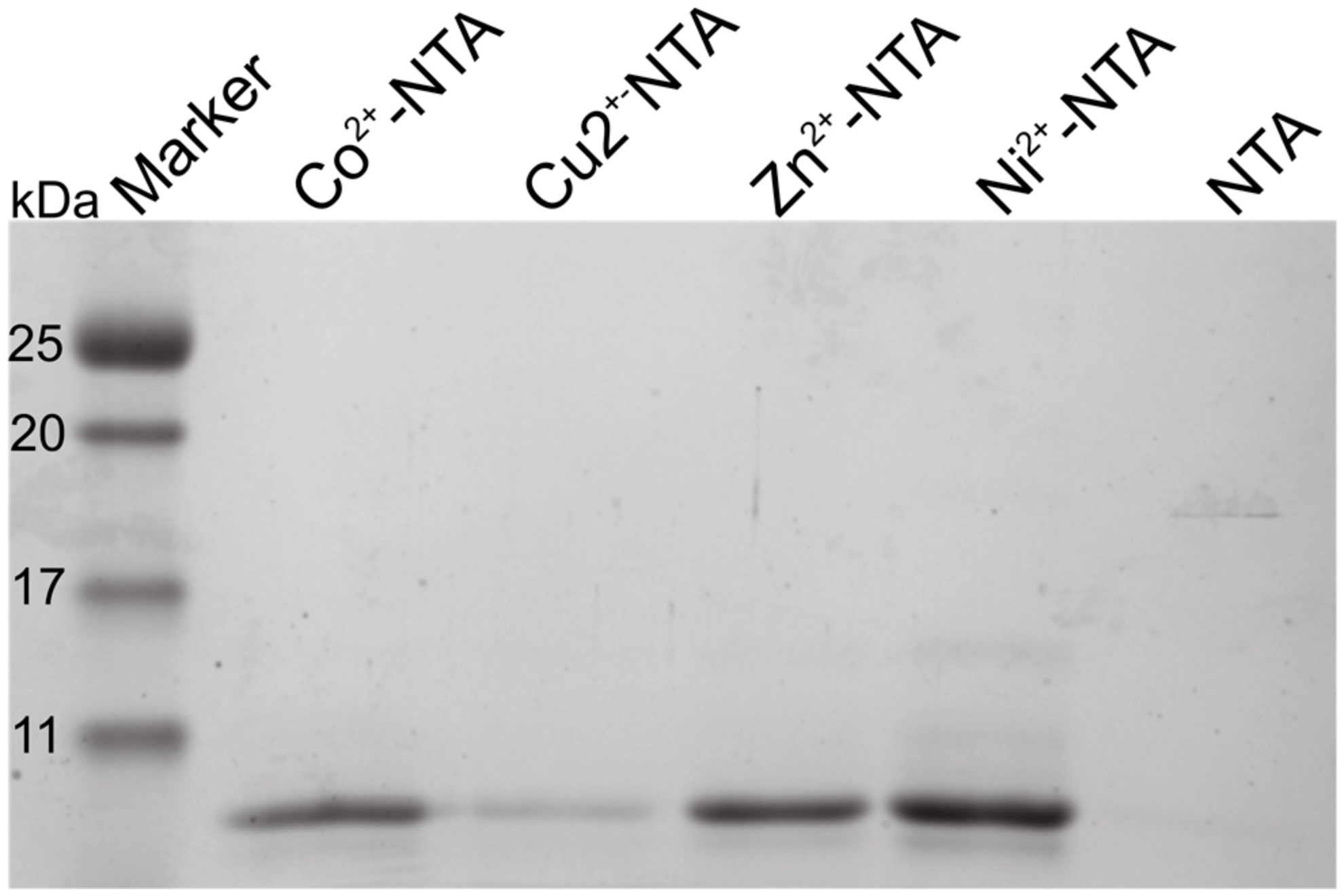Biomolecules 07 00057 g002
