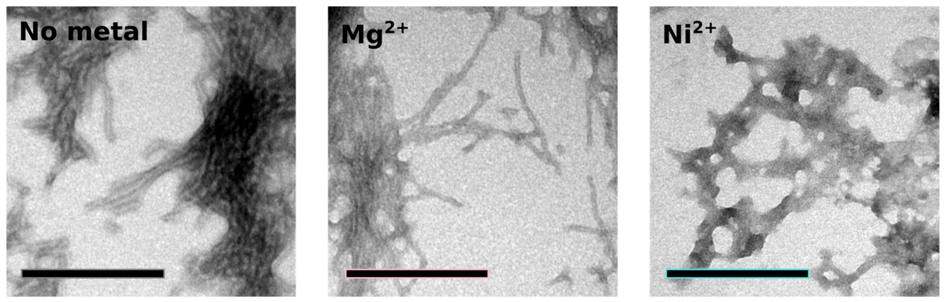Biomolecules 07 00057 g007