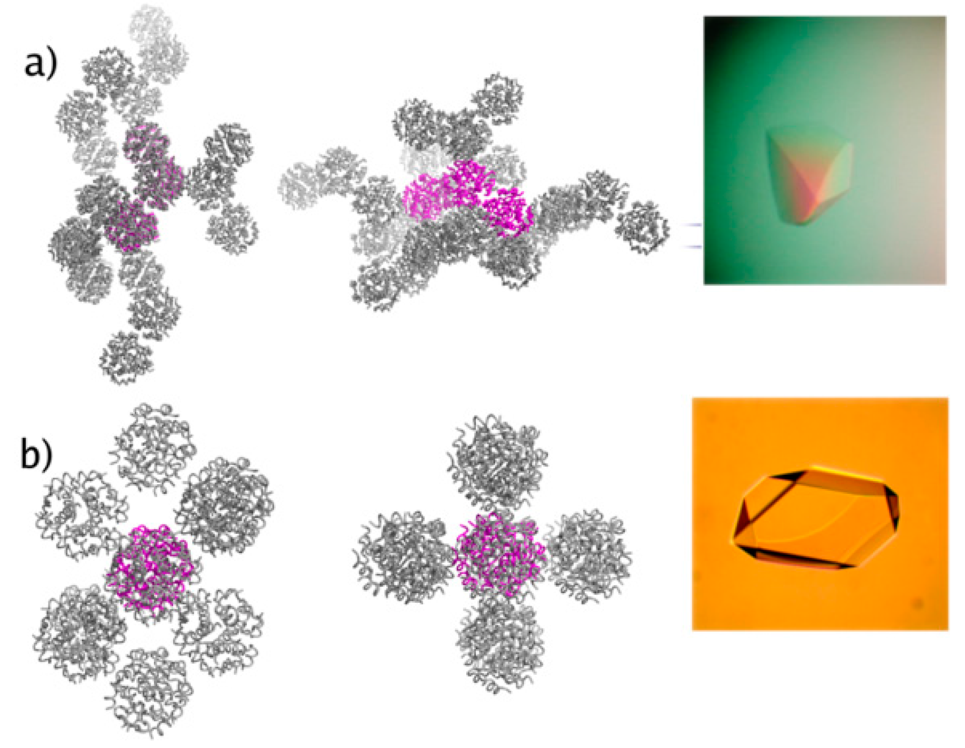 Biomolecules 07 00063 g004