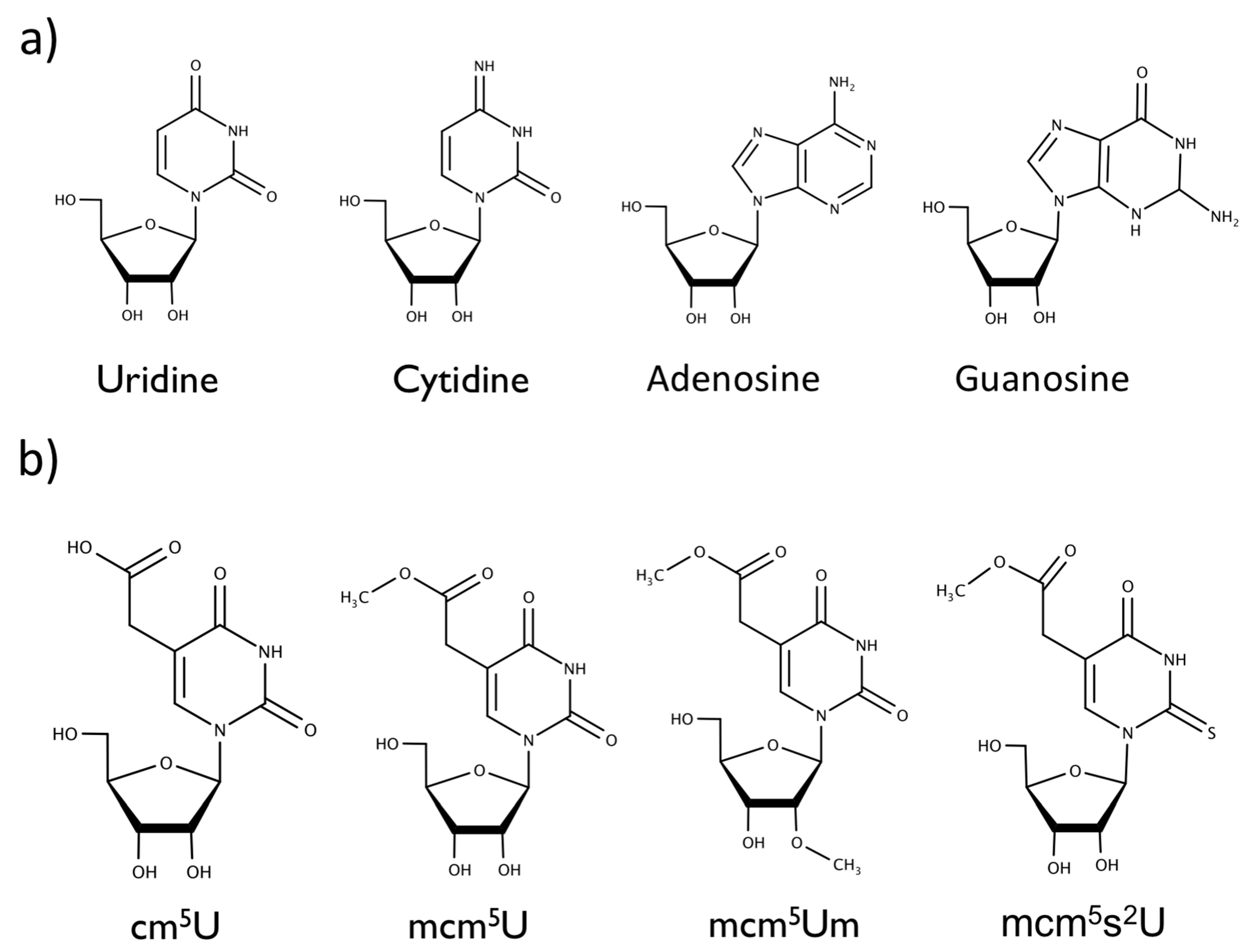 Biomolecules 07 00065 g001