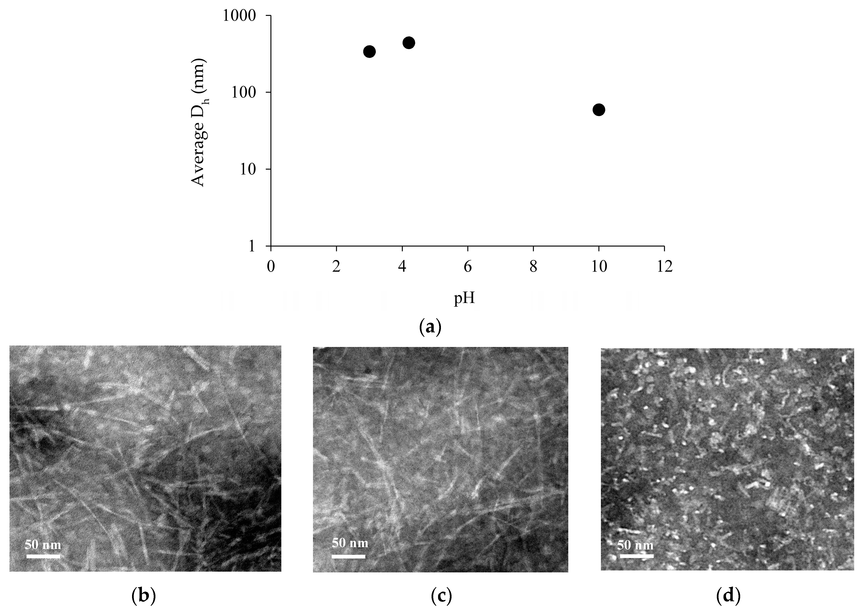 Biomolecules 07 00068 g002