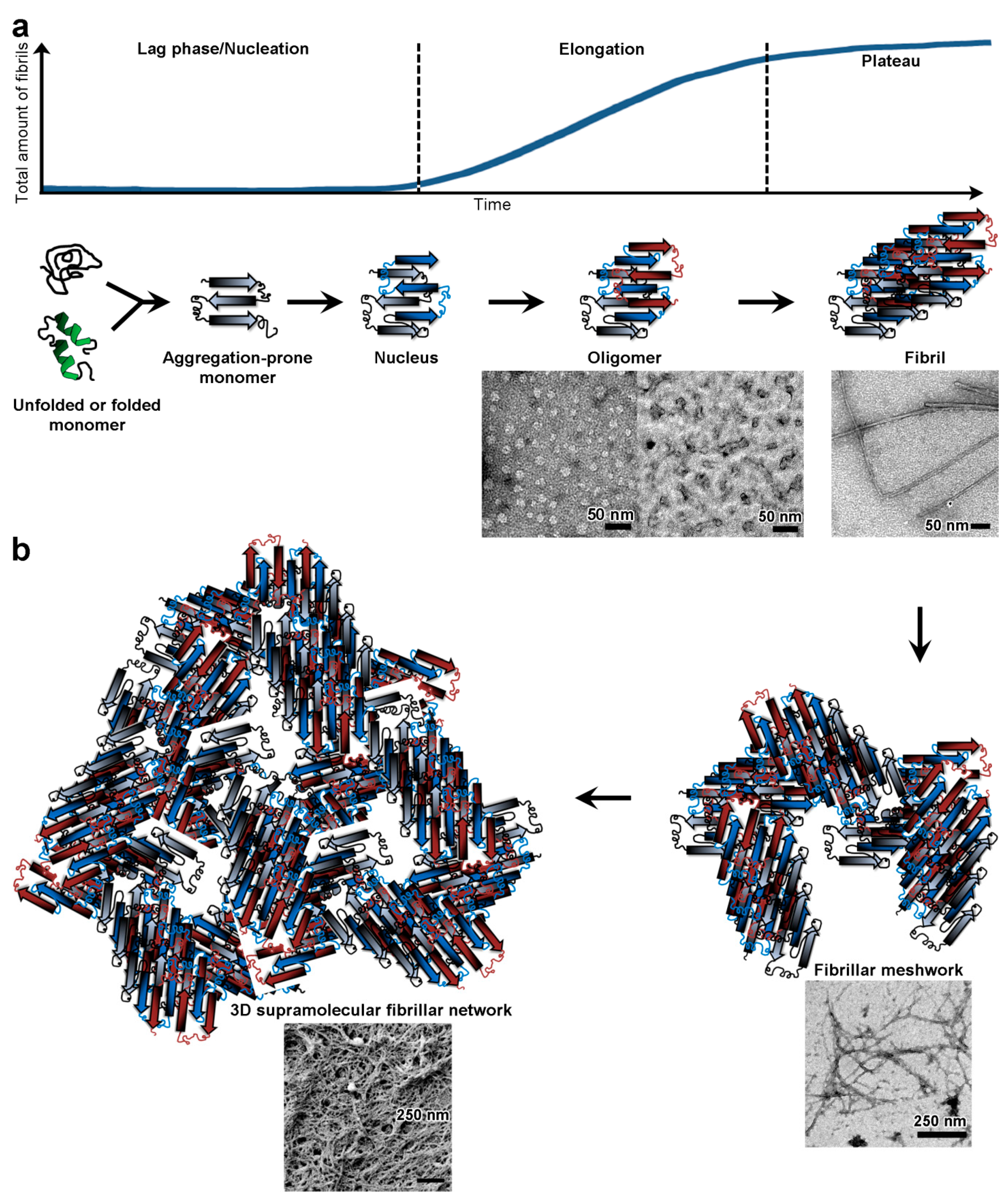 Biomolecules 07 00070 g001 Biomolecules 07 00070 g001