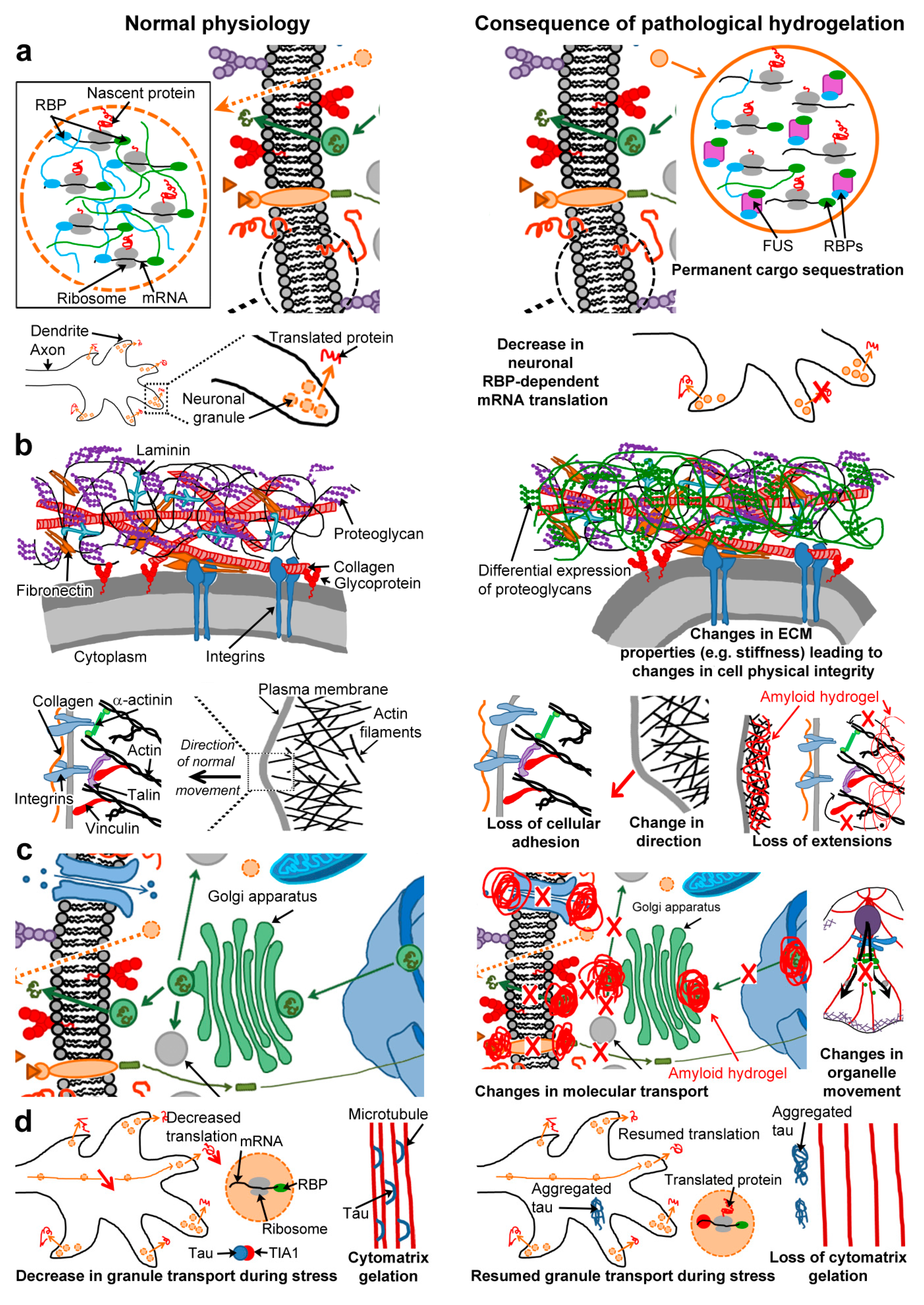 Biomolecules 07 00070 g003 Biomolecules 07 00070 g003