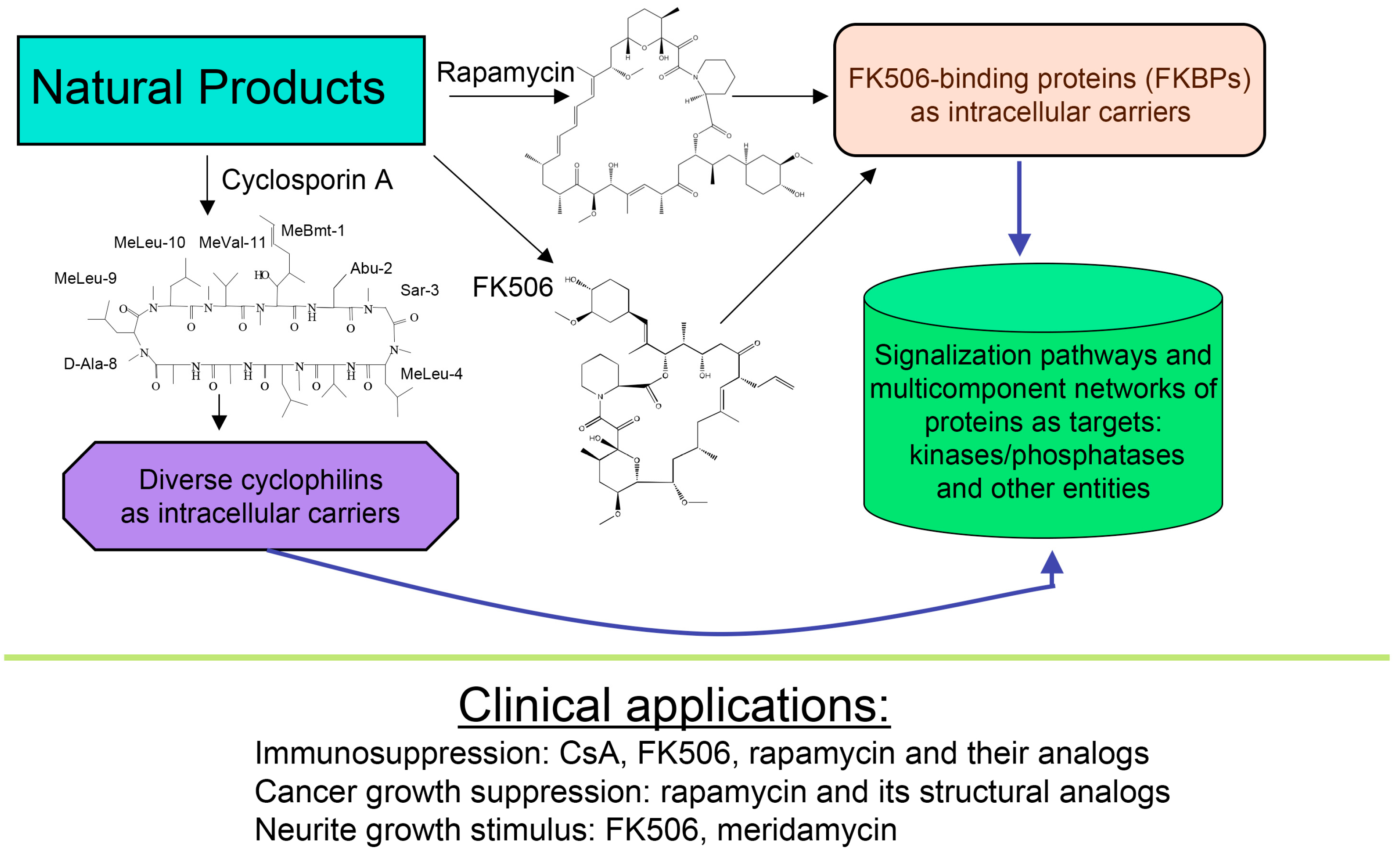 Biomolecules 07 00072 g001