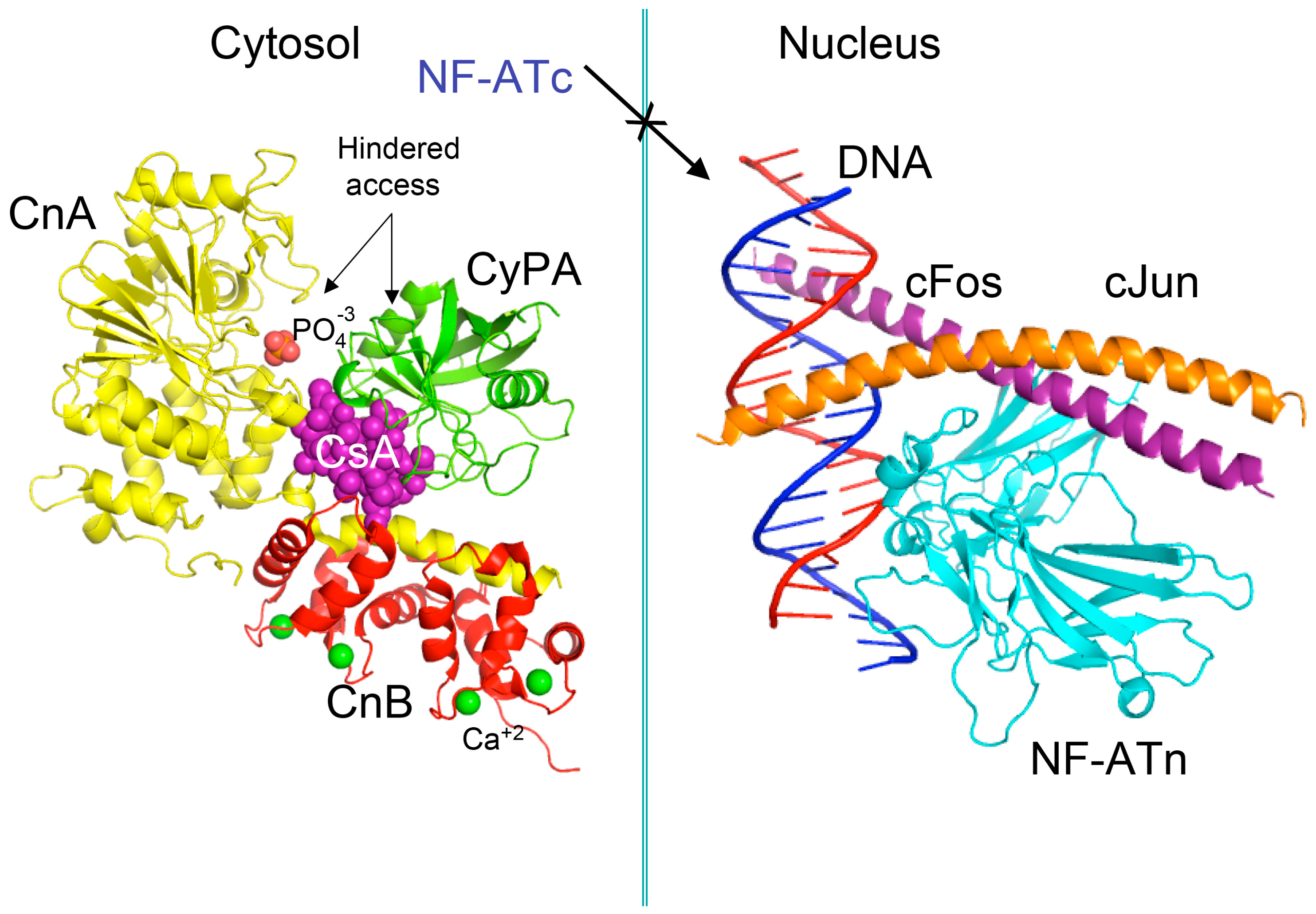 Biomolecules 07 00072 g002