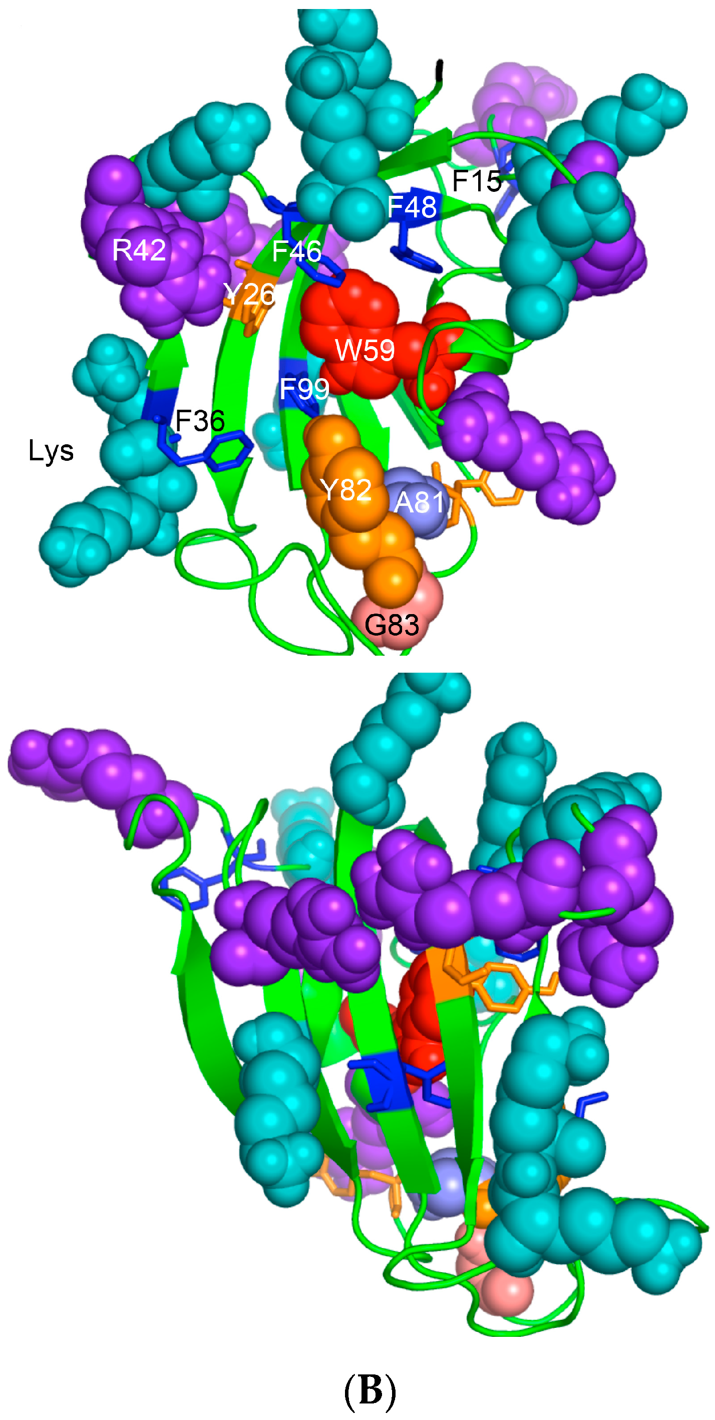 Biomolecules 07 00072 g006b