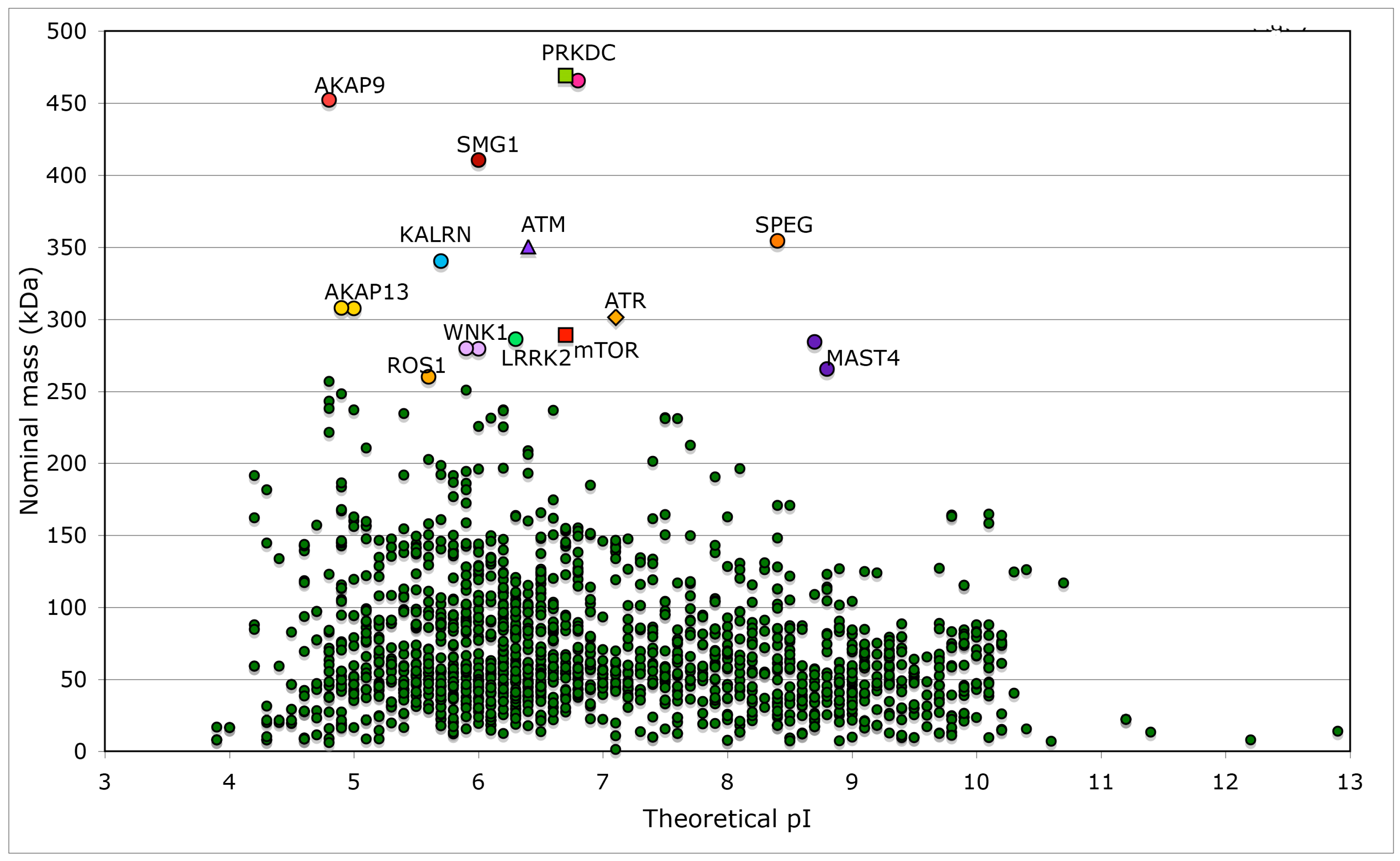 Biomolecules 07 00072 g007
