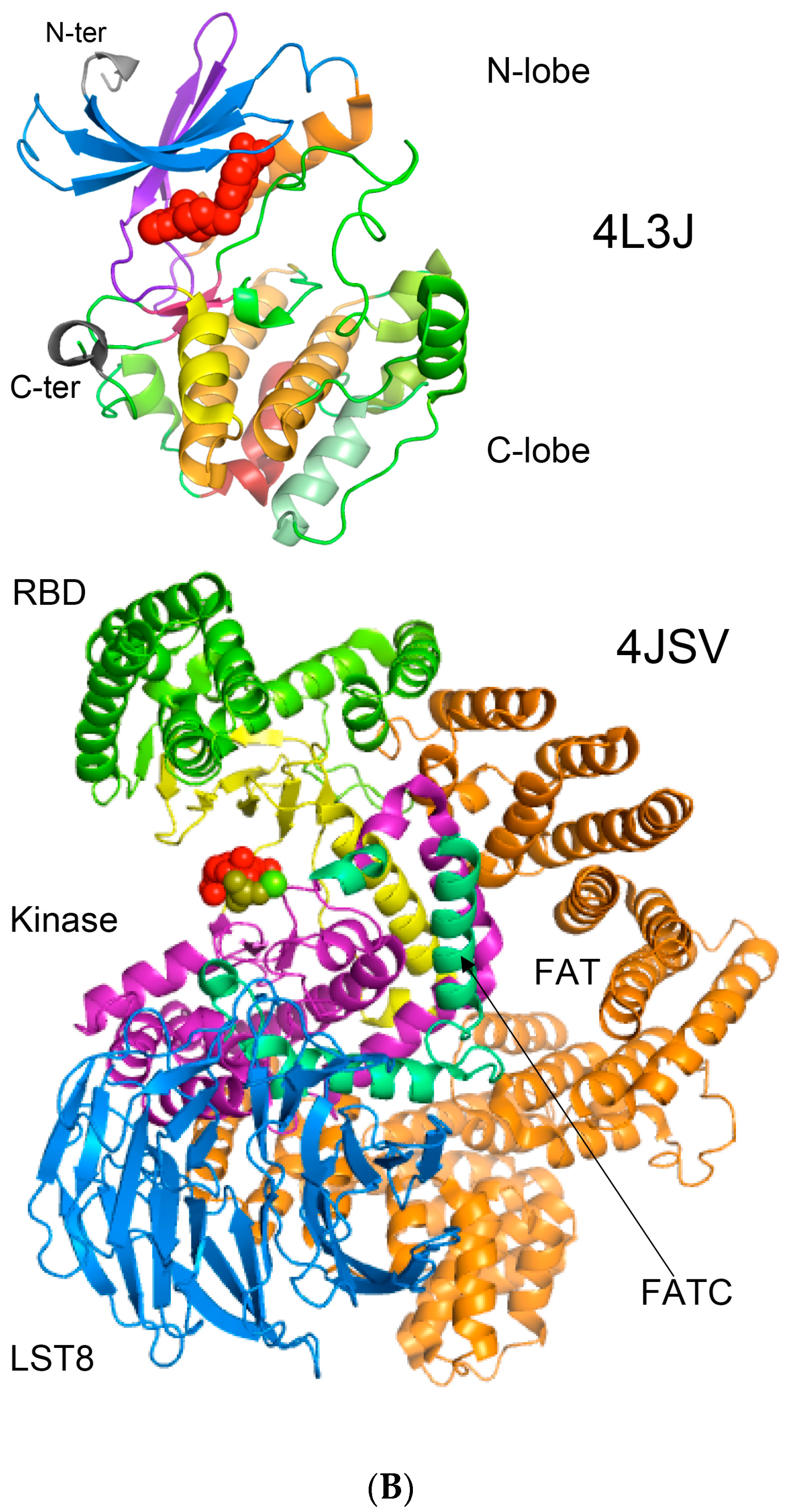 Biomolecules 07 00072 g008b