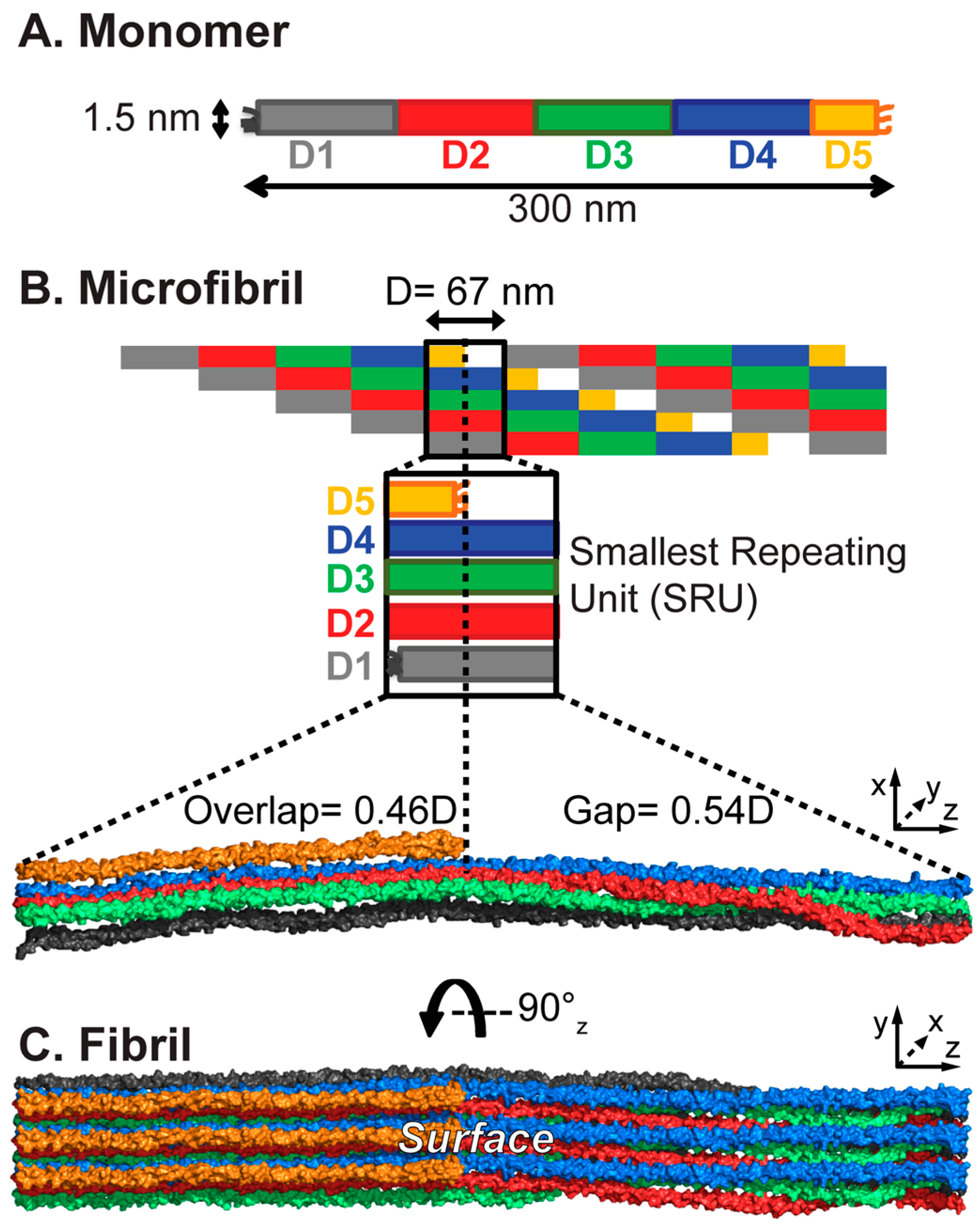 Biomolecules 07 00076 g001