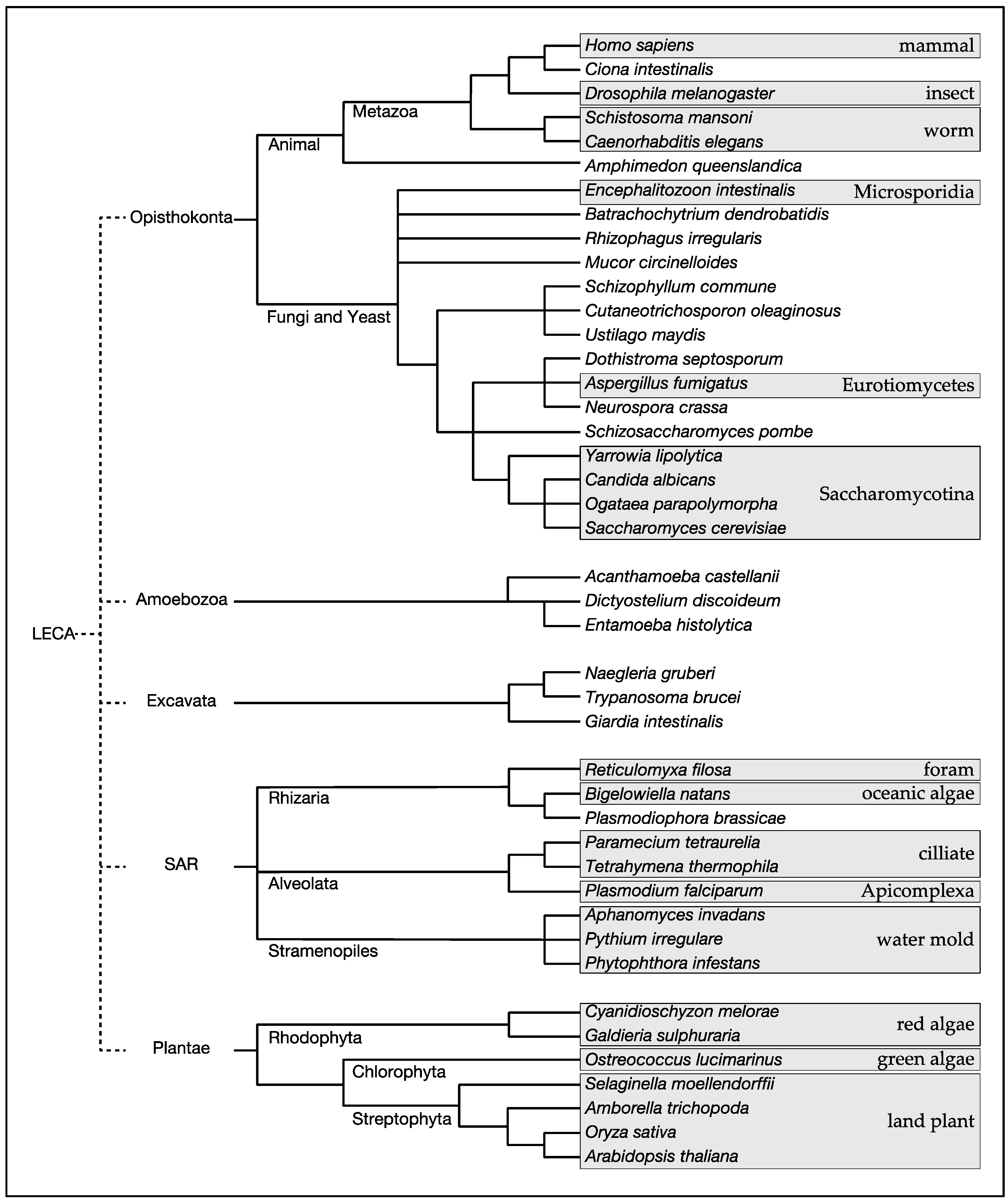 Biomolecules 07 00077 g001