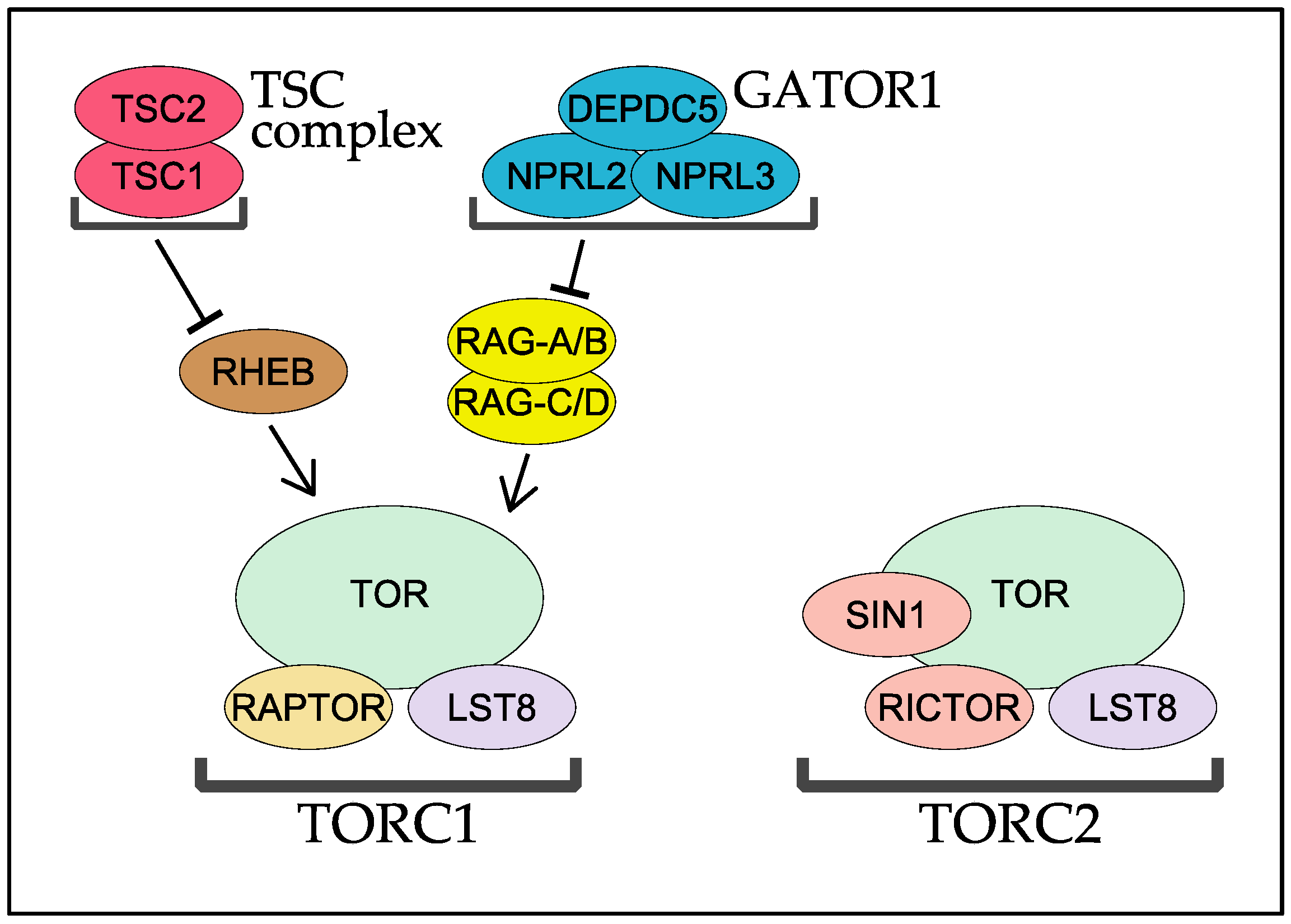 Biomolecules 07 00077 g003