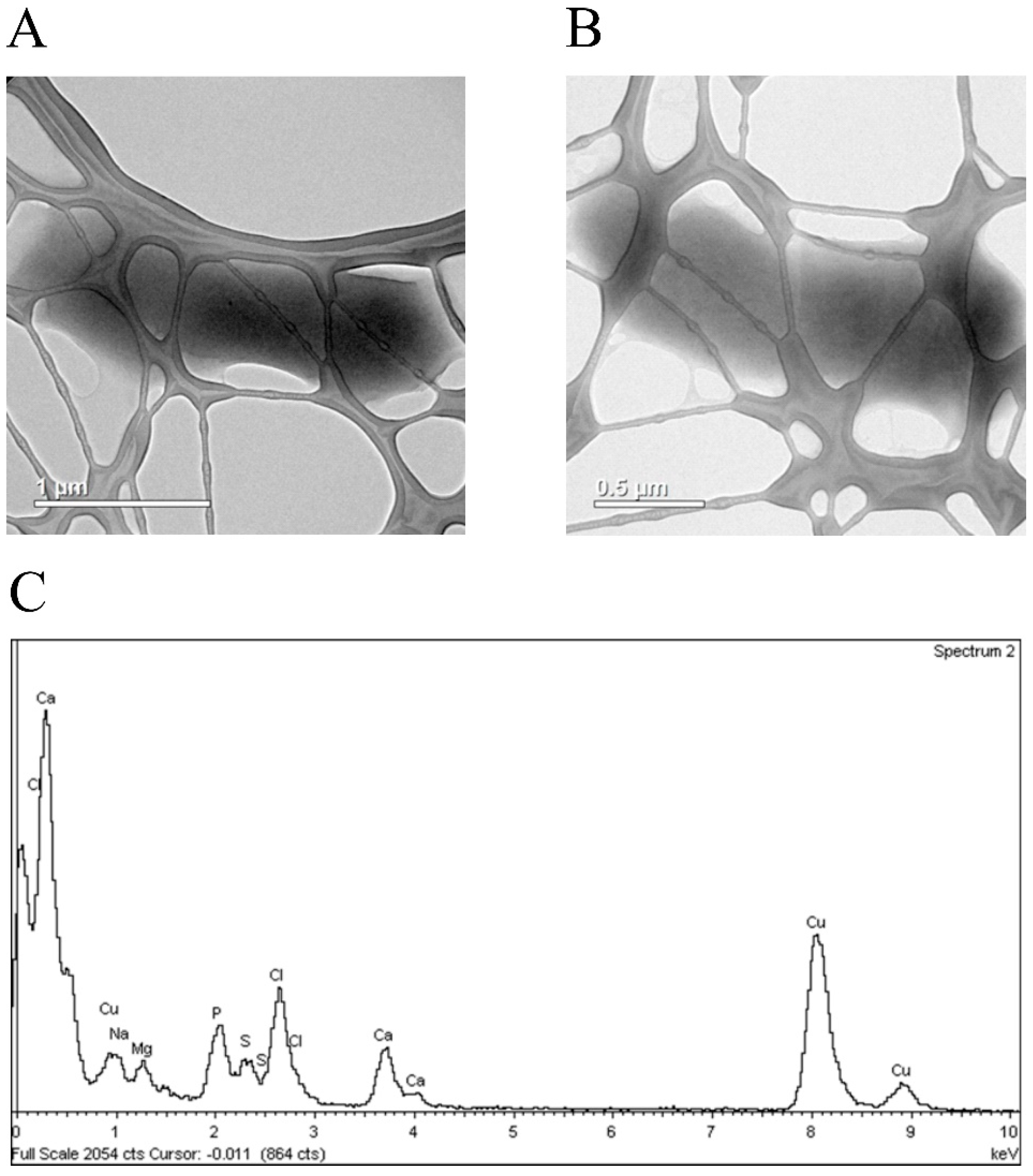 Biomolecules 07 00078 g005