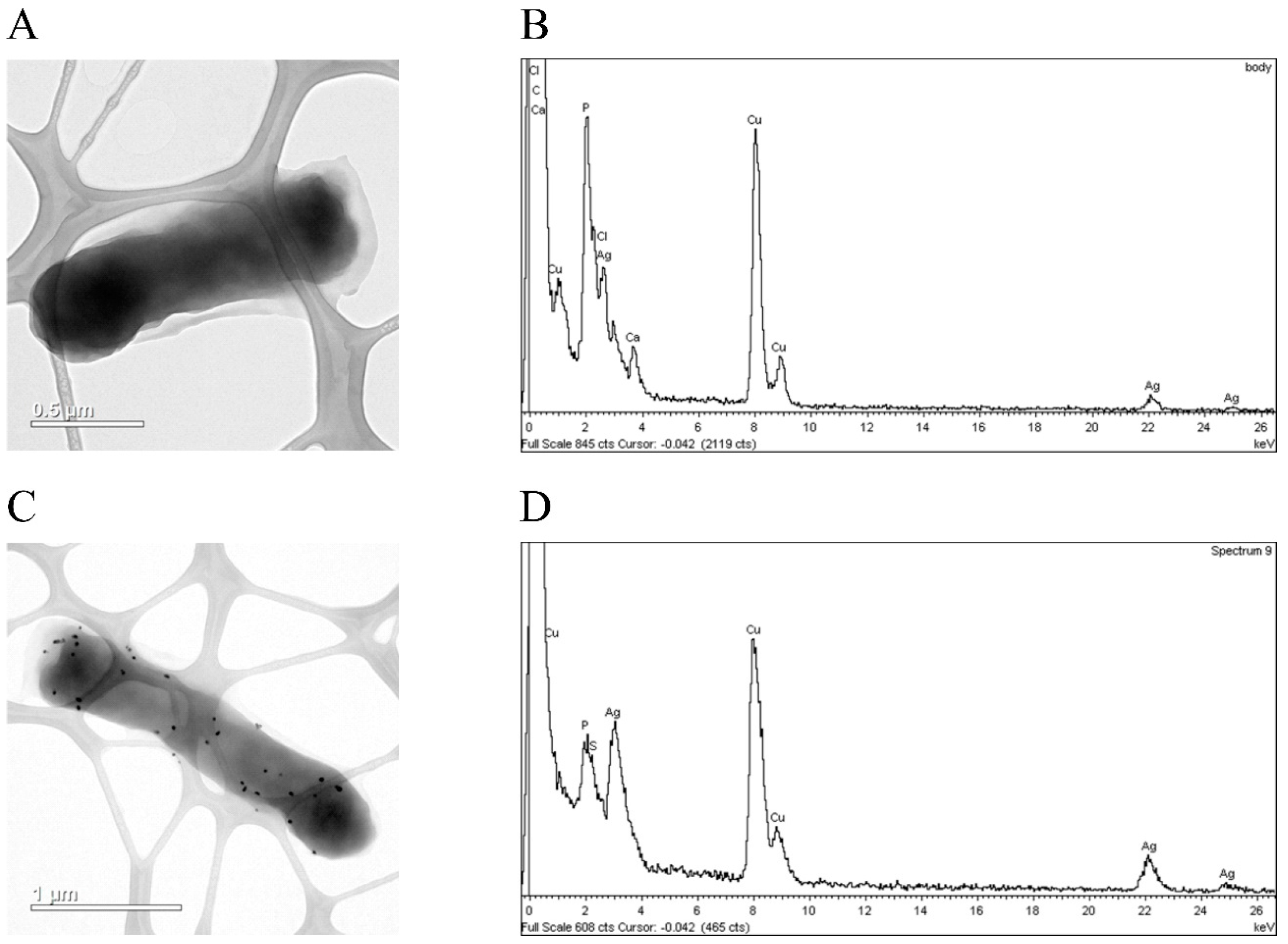 Biomolecules 07 00078 g006