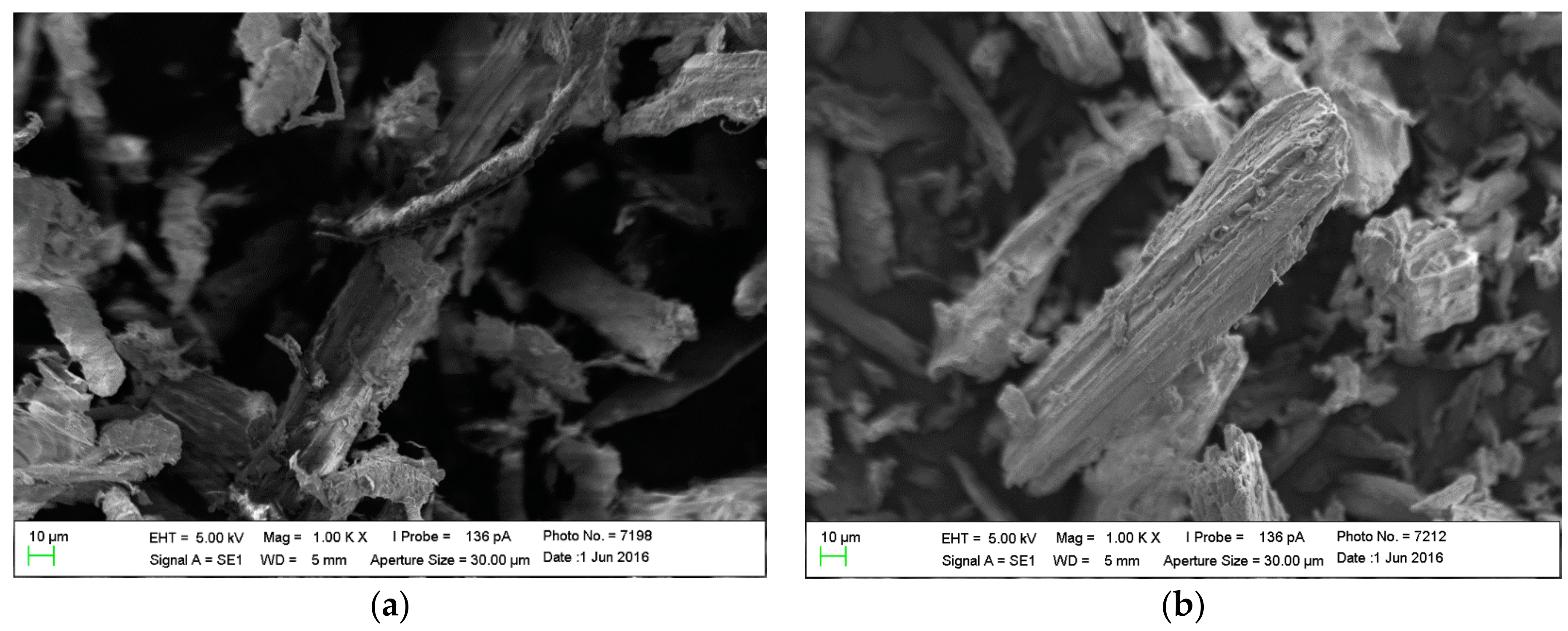 Biomolecules 08 00002 g003