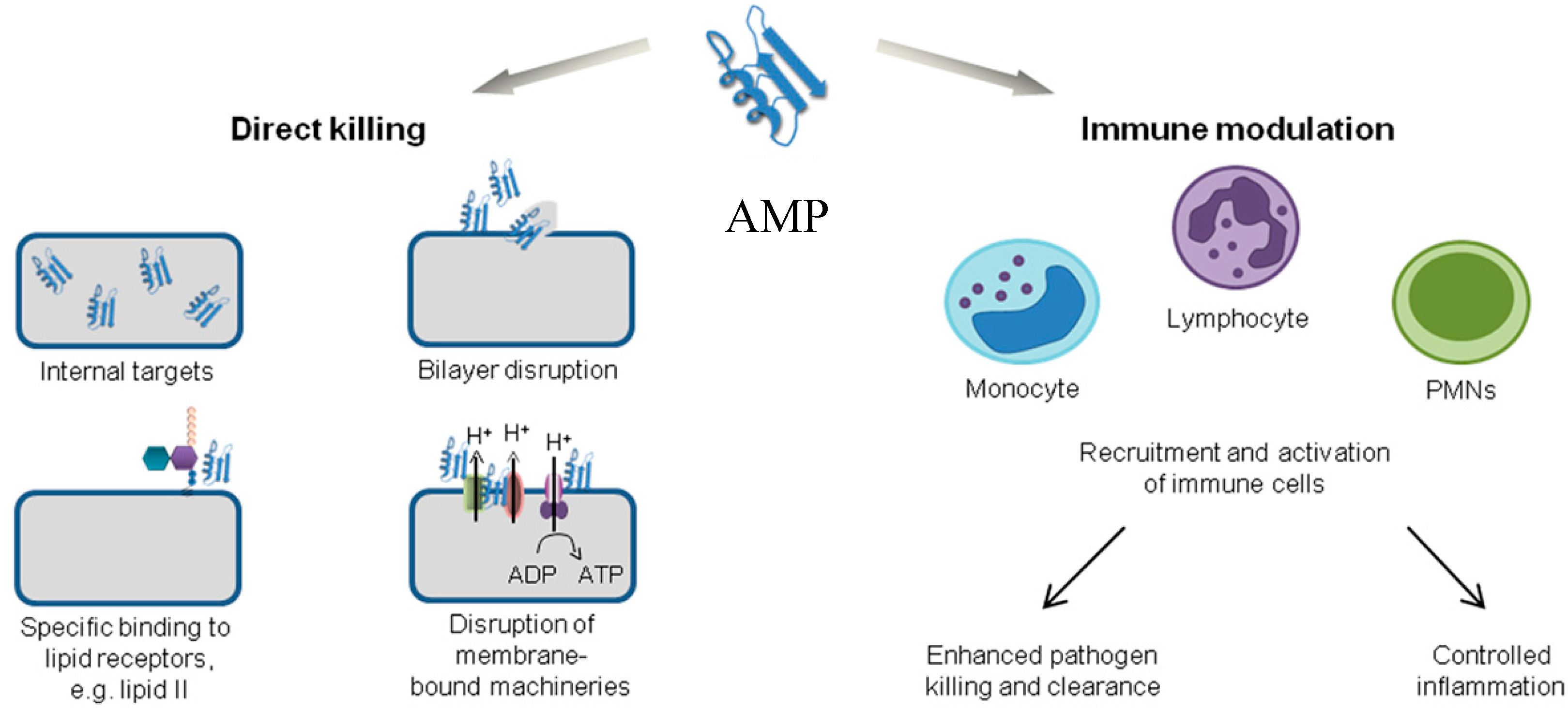 Biomolecules 08 00004 g003