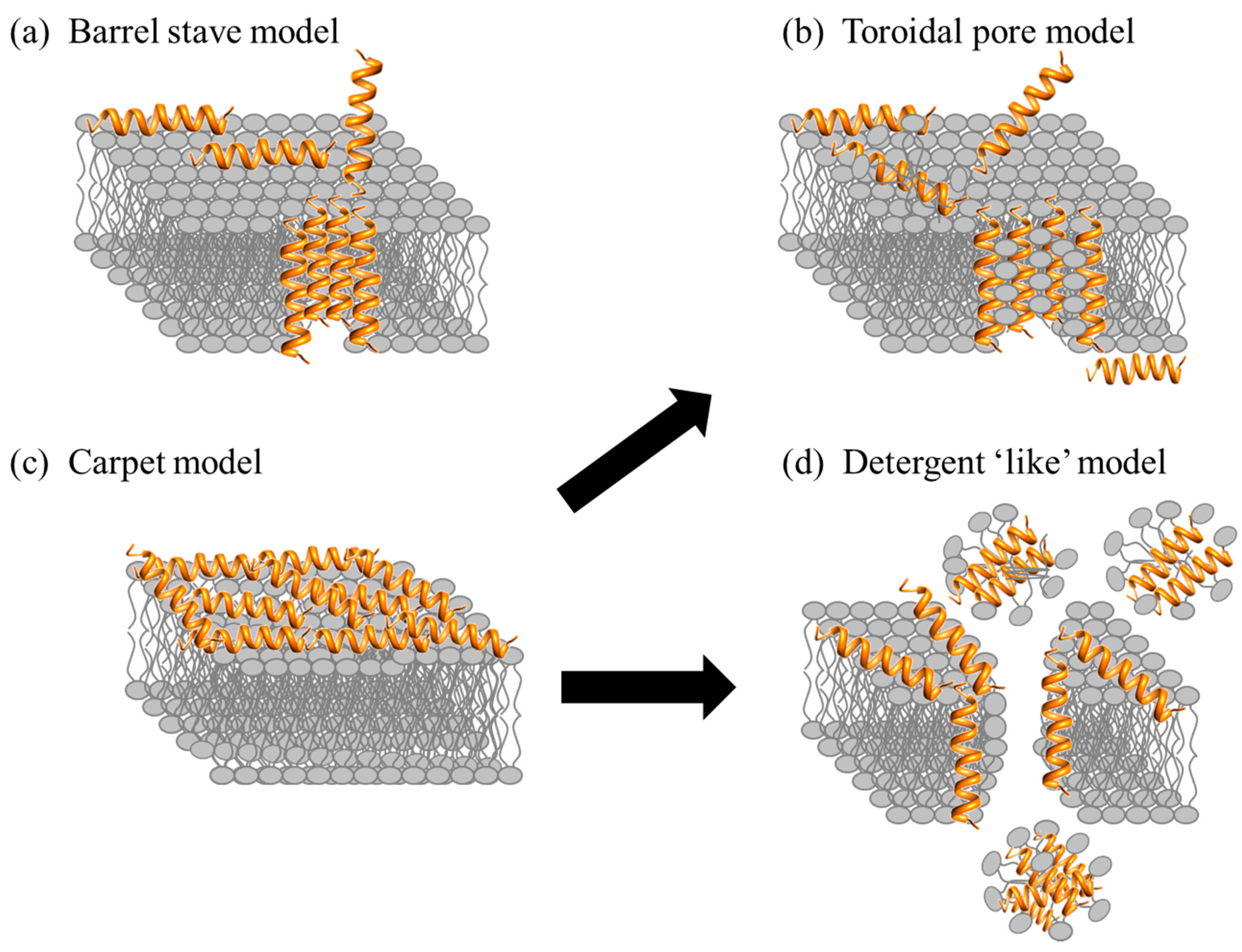 Biomolecules 08 00004 g005