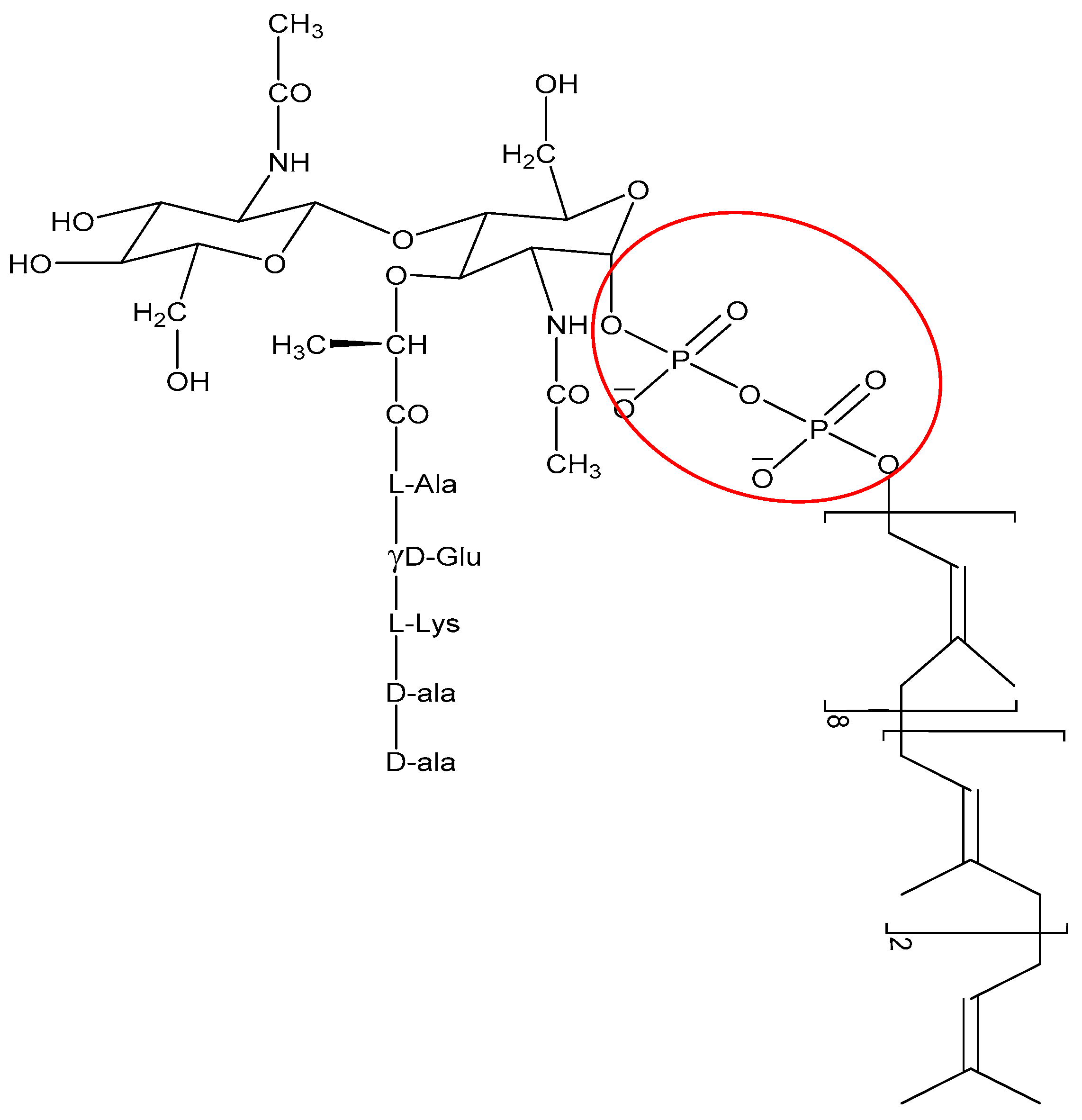 Biomolecules 08 00004 g006