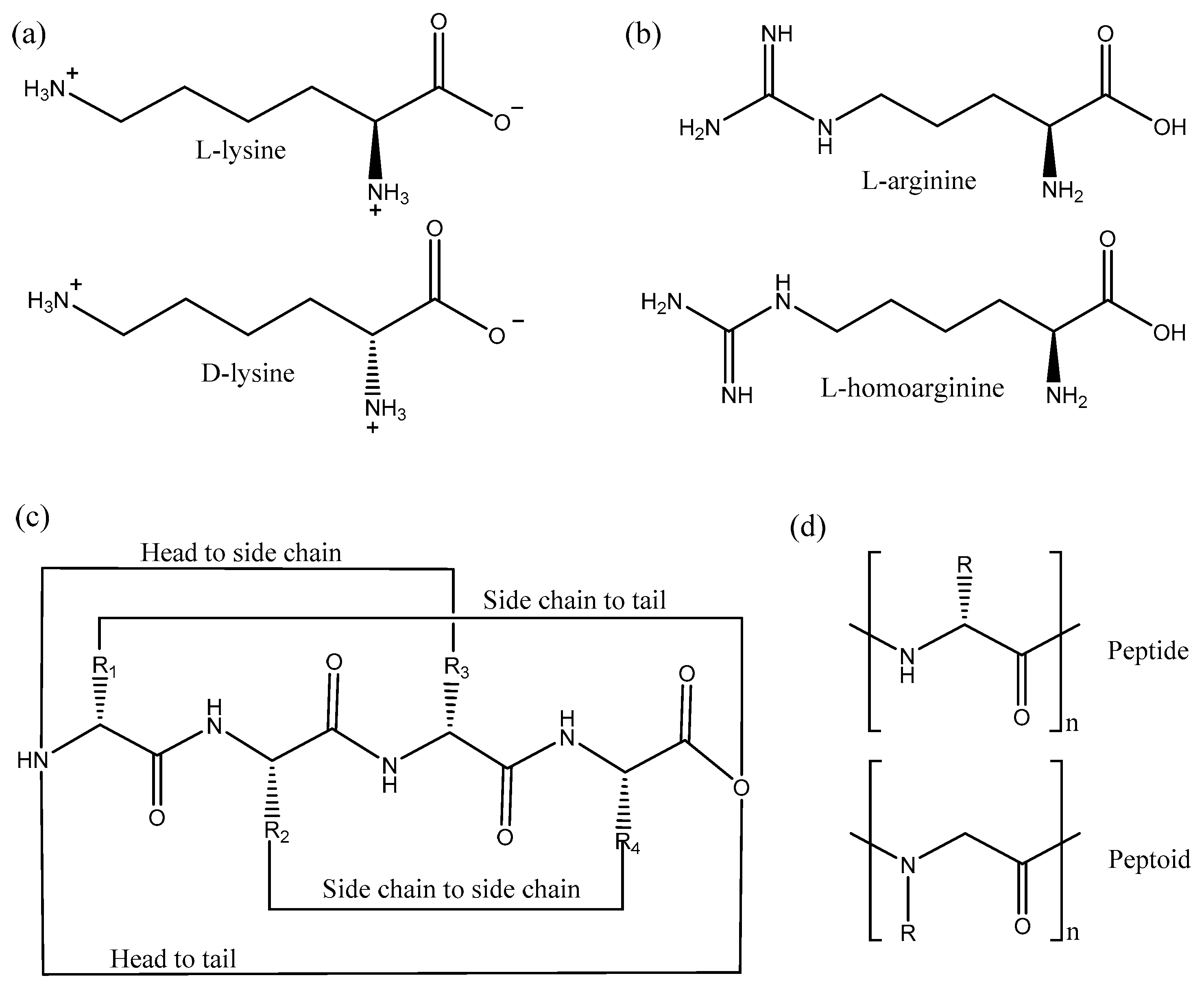 Biomolecules 08 00004 g007