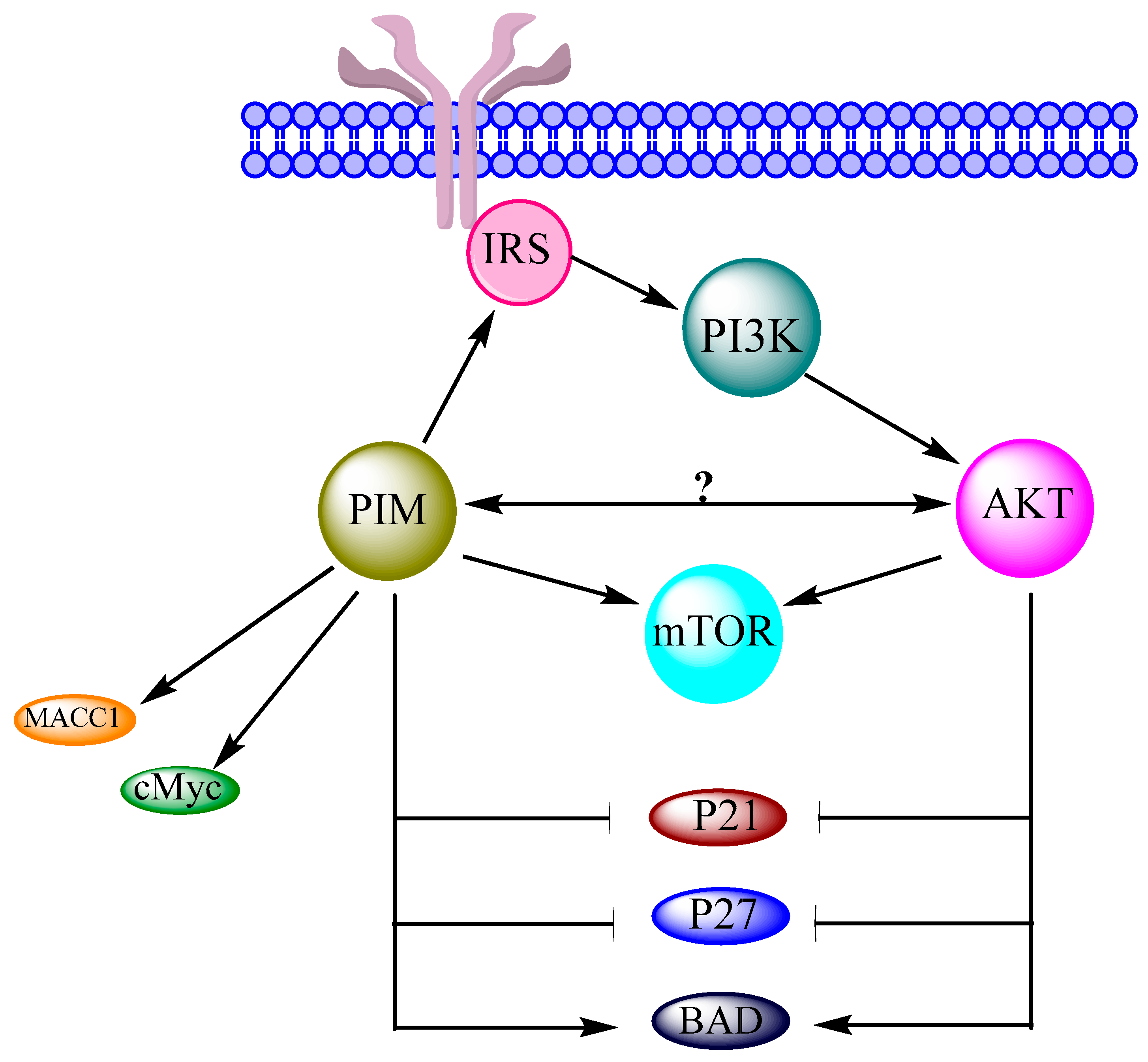 Biomolecules 08 00007 g004